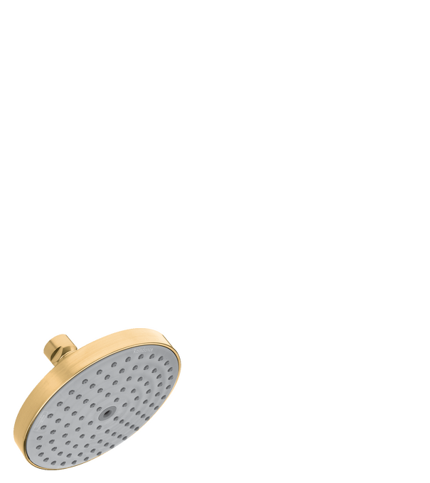 Raindance S Showerhead 150 1-Jet, 2.5 GPM