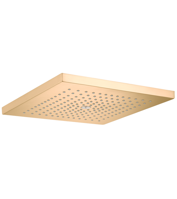 Raindance E Showerhead 300 1-Jet, 1.8 GPM