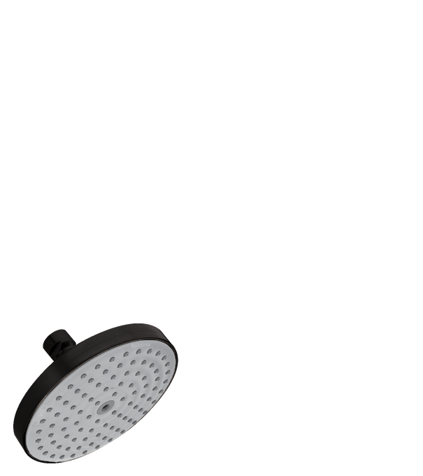 Raindance S Showerhead 150 1-Jet, 2.5 GPM
