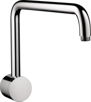 Raindance Showerarm