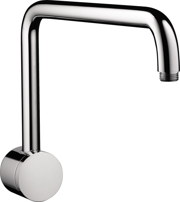 Raindance Showerarm