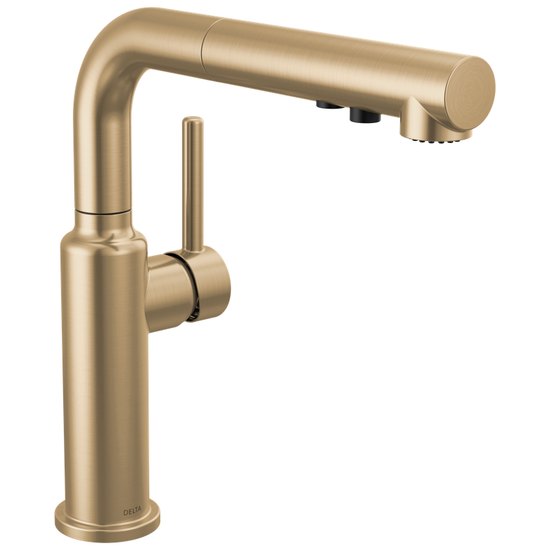 Delta Daneri™ Single Handle Pull-Out Kitchen Faucet