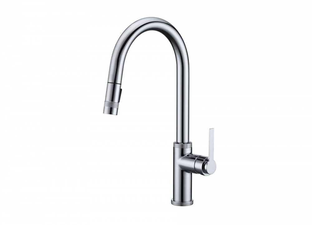Dawn Single Lever Pull-out Spray Kitchen Faucet AB50 3658