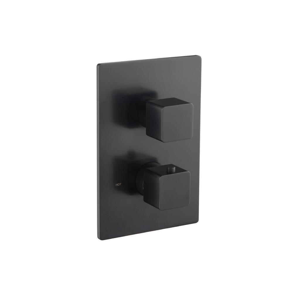 Flusso 196.4101 3/4" Thermostatic Shower Valve & Trim - 1 Output
