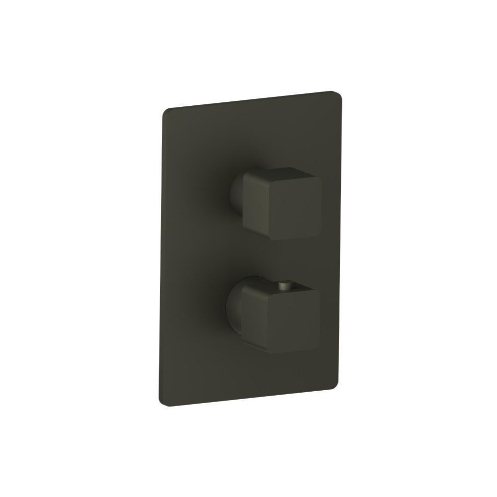 Flusso 196.4101 3/4" Thermostatic Shower Valve & Trim - 1 Output