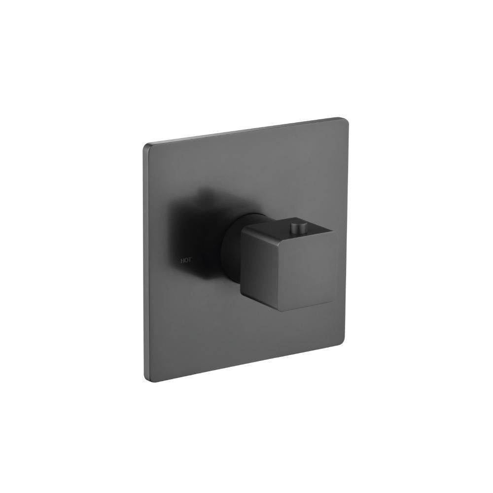 Flusso 196.4201 3/4" Thermostatic Valve With Trim