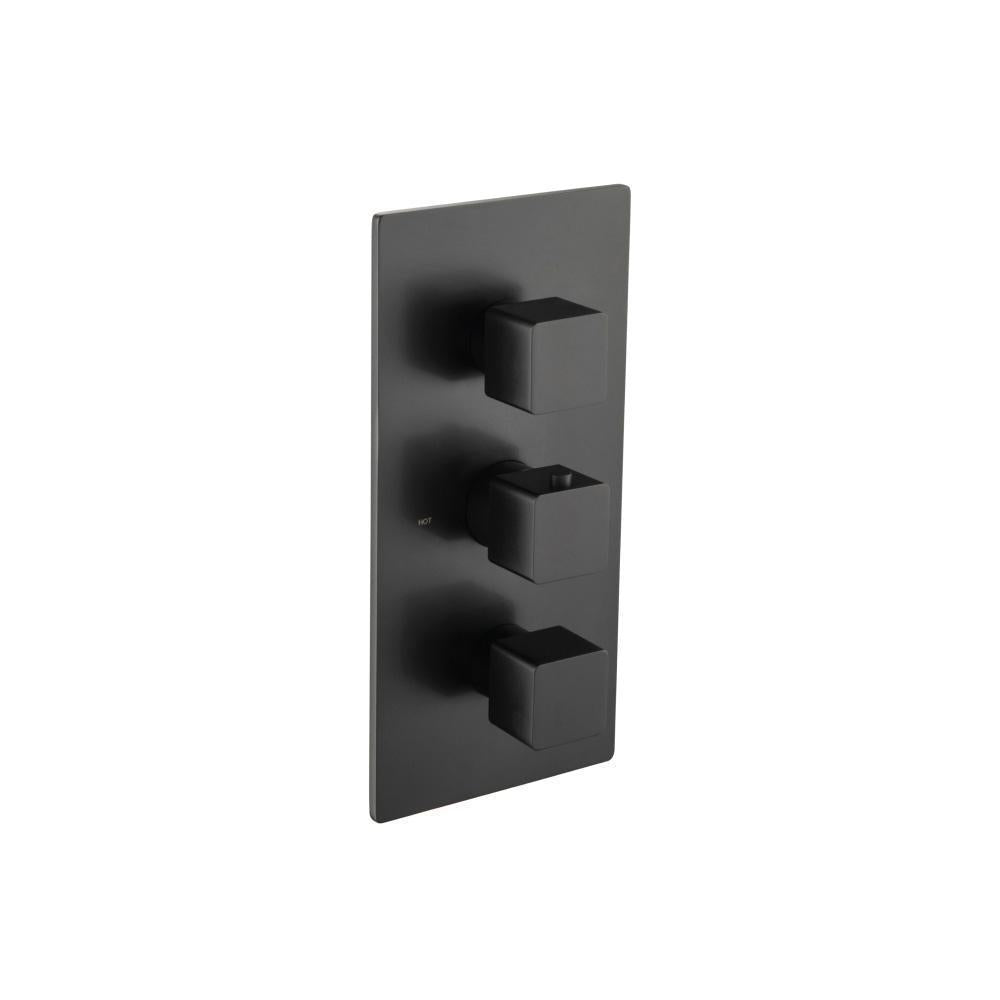Flusso 196.4801 3/4" Thermostatic Valve & Trim - 4 Output