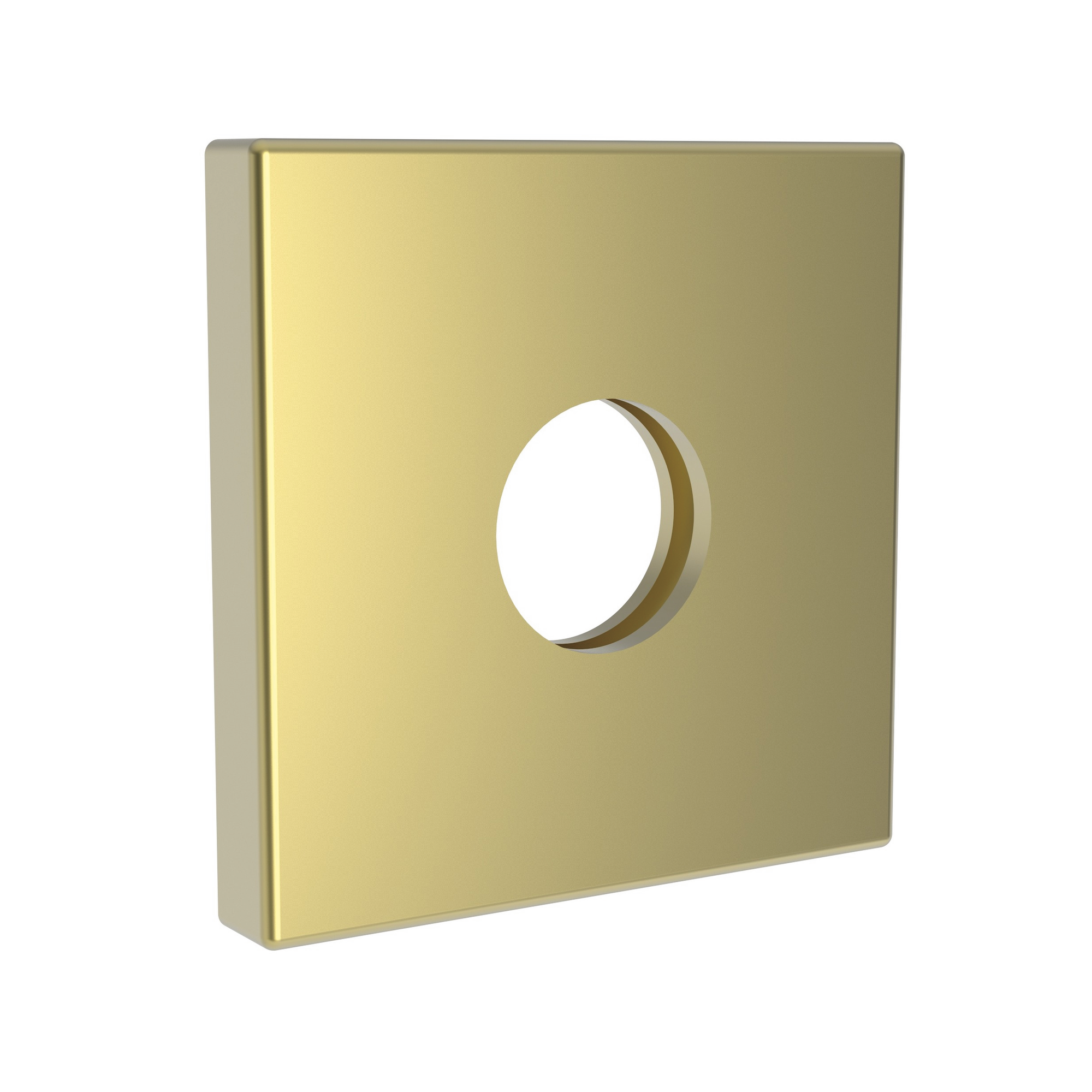 Newport Brass Other Shower Arm Flange