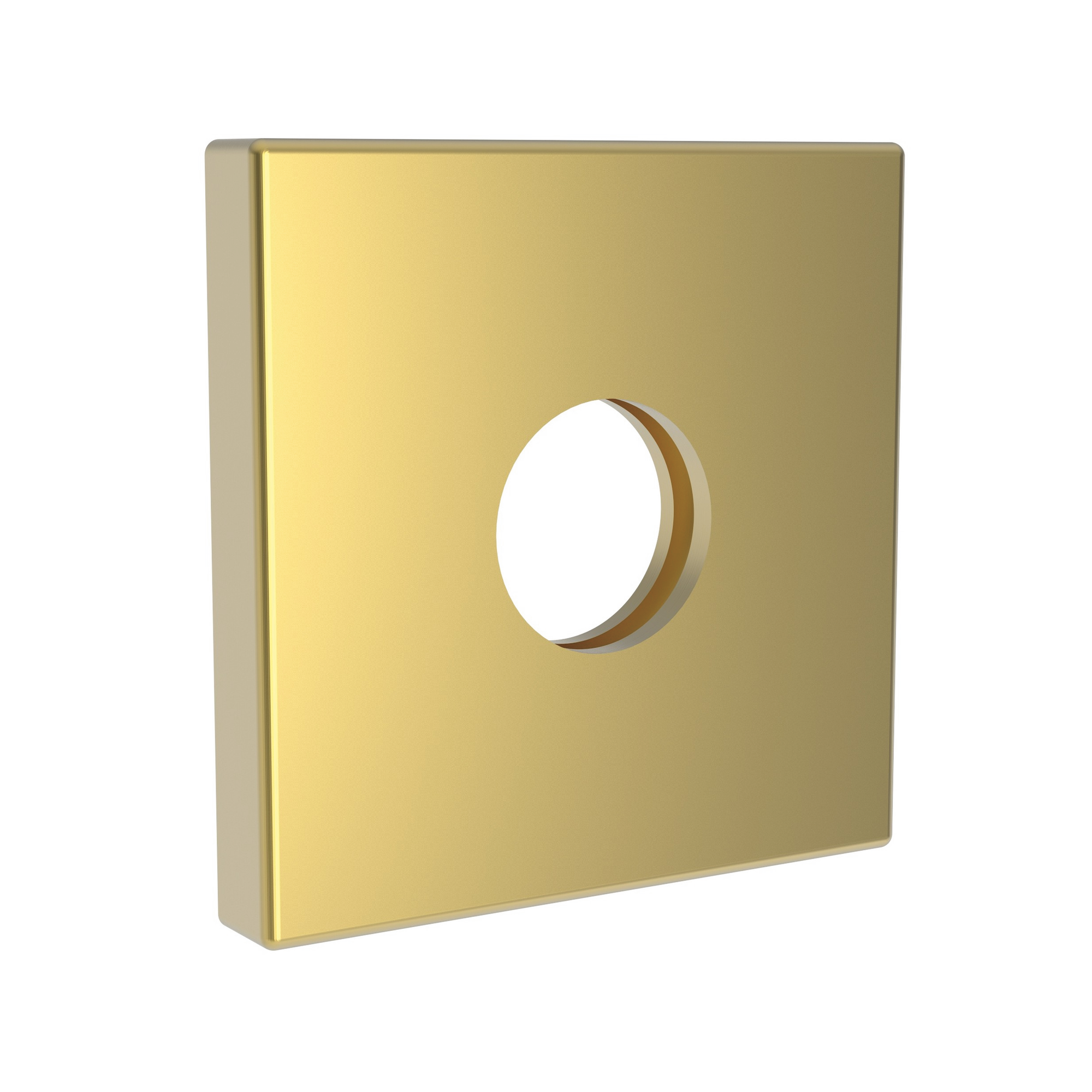 Newport Brass Other Shower Arm Flange