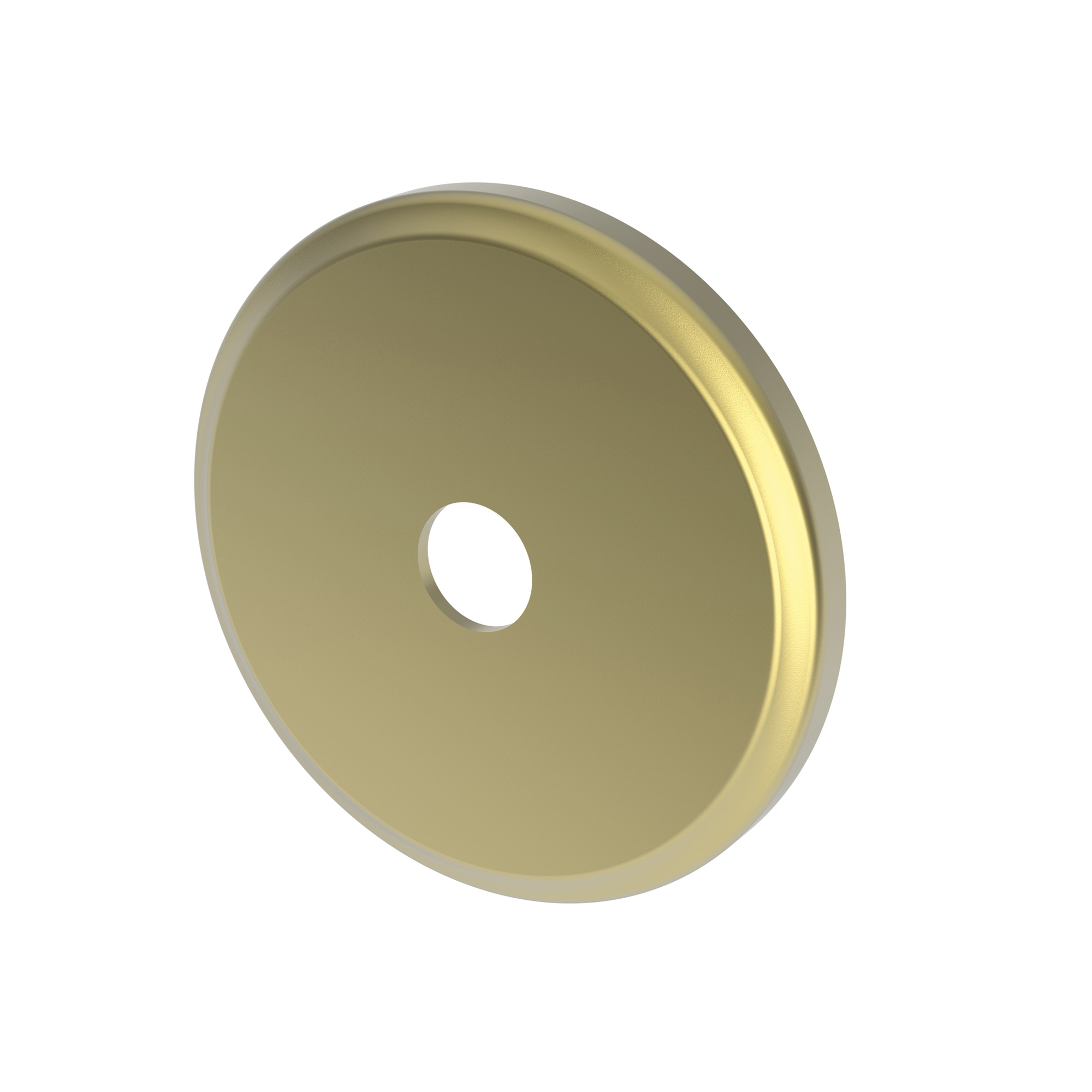 Newport Brass Other Diverter Plate