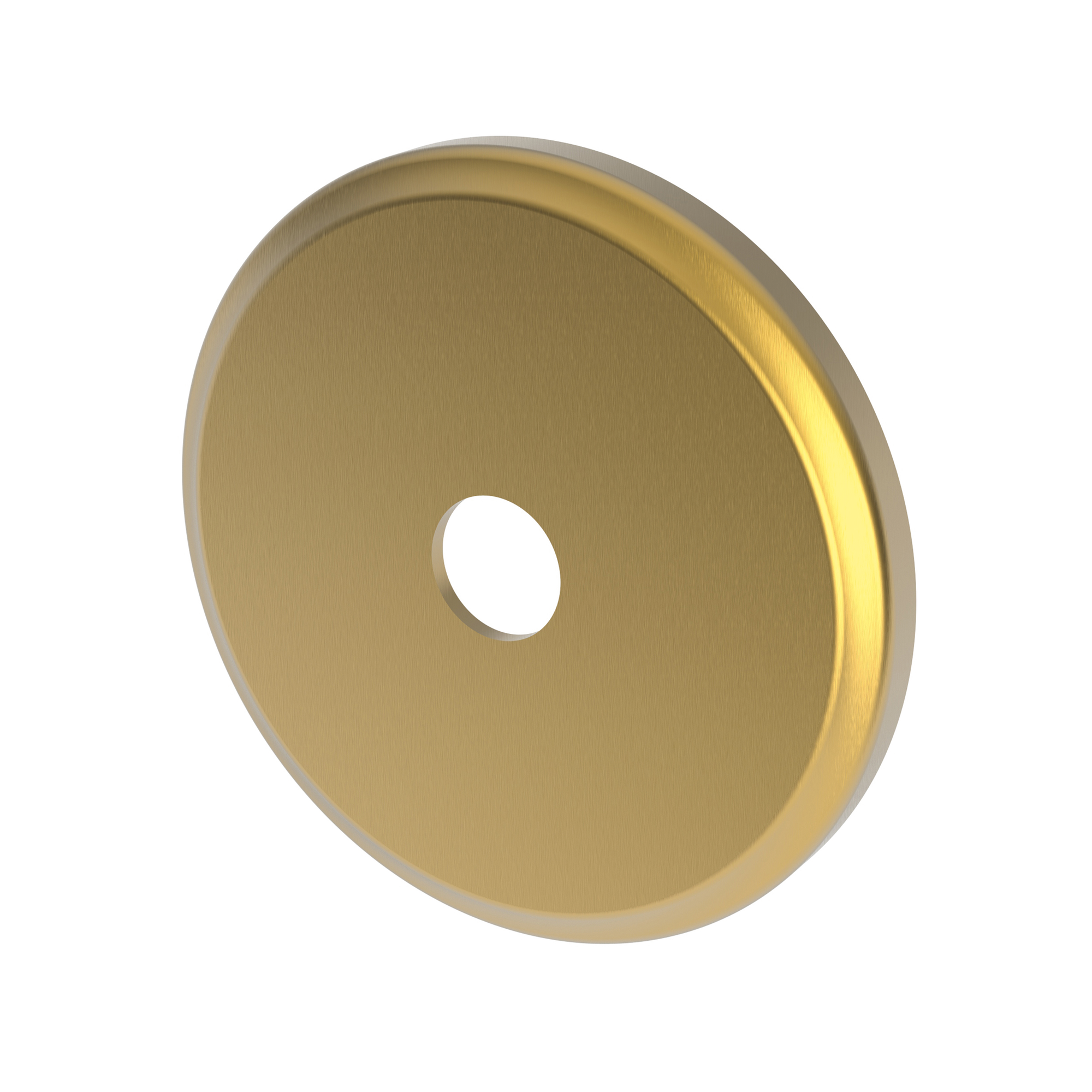 Newport Brass Other Diverter Plate