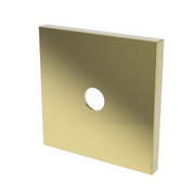 Newport Brass Other Diverter Plate