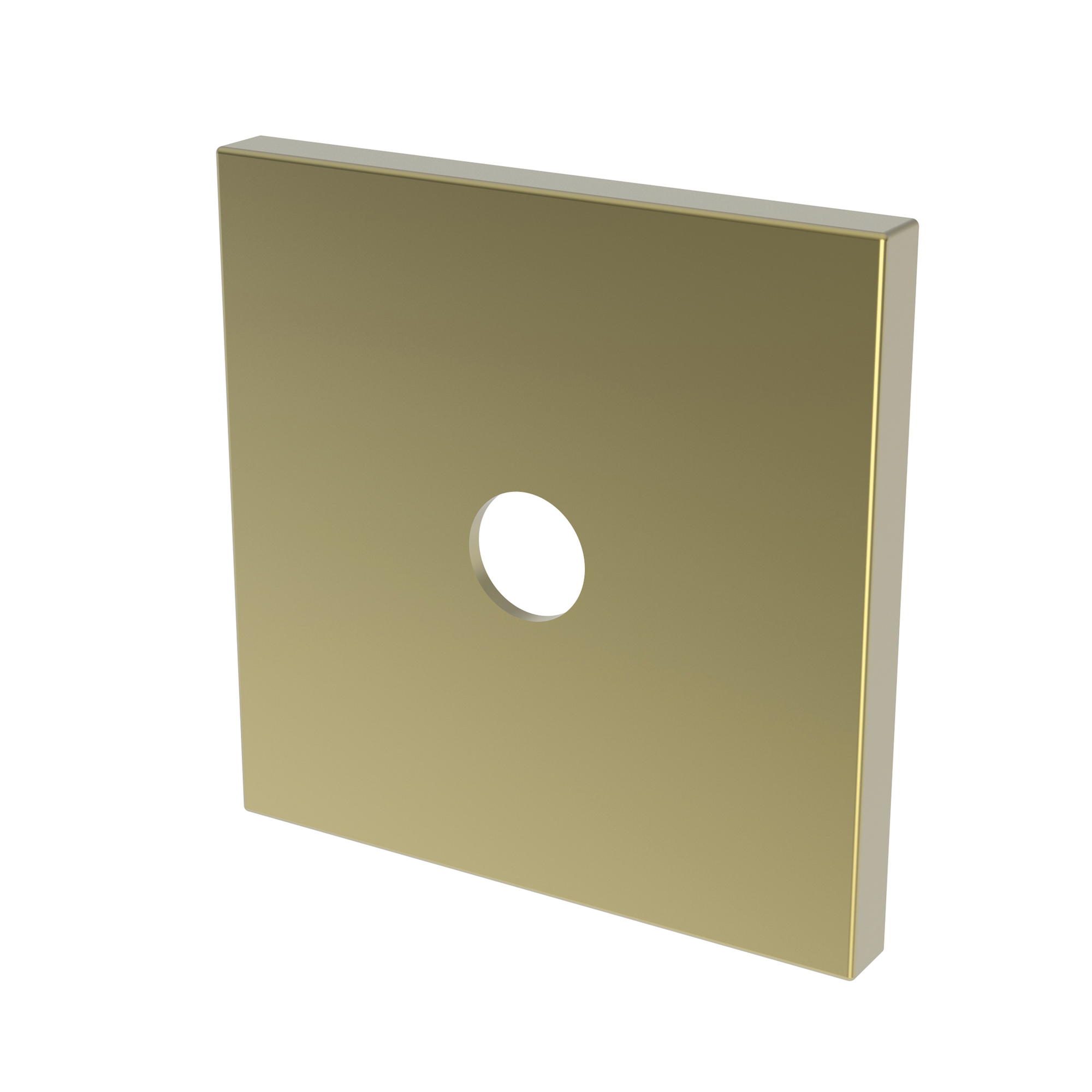 Newport Brass Other Diverter Plate