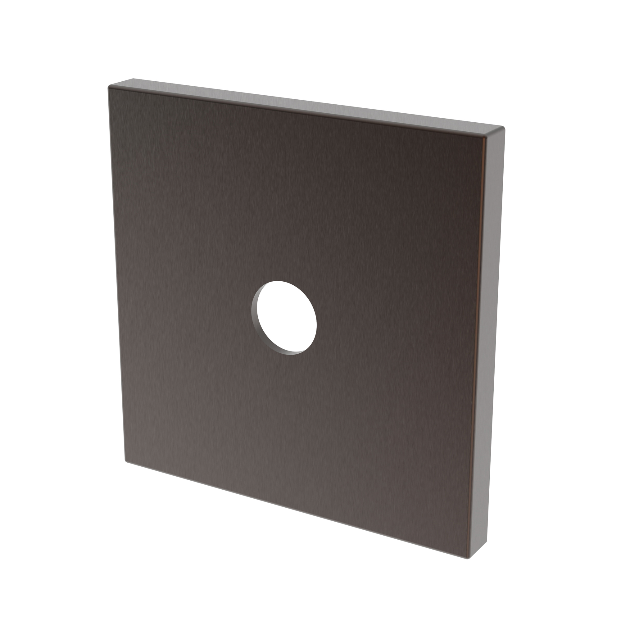 Newport Brass Other Diverter Plate
