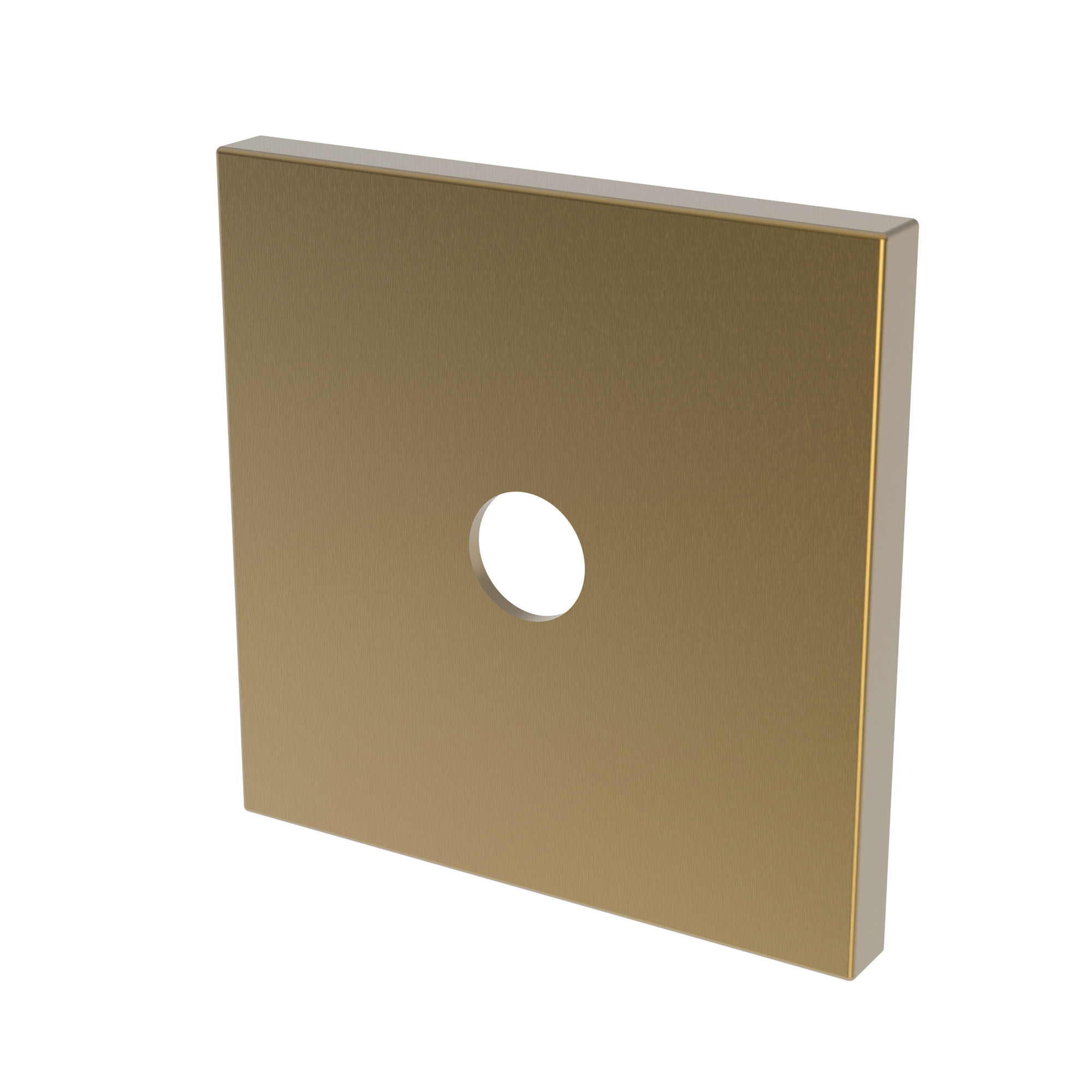Newport Brass Other Diverter Plate
