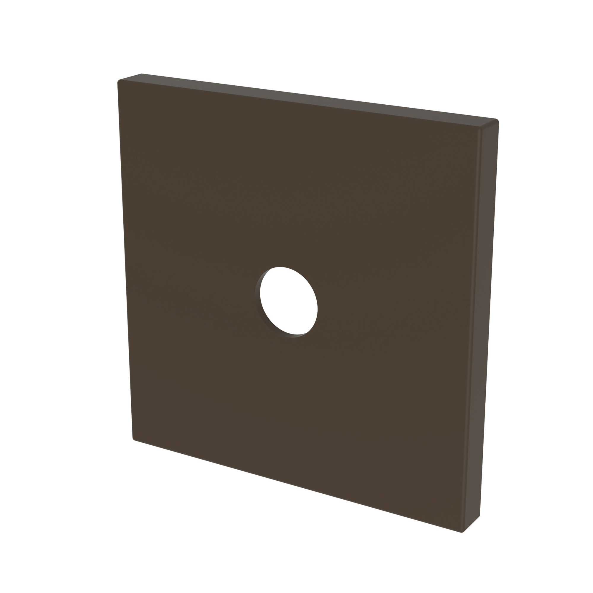 Newport Brass Other Diverter Plate