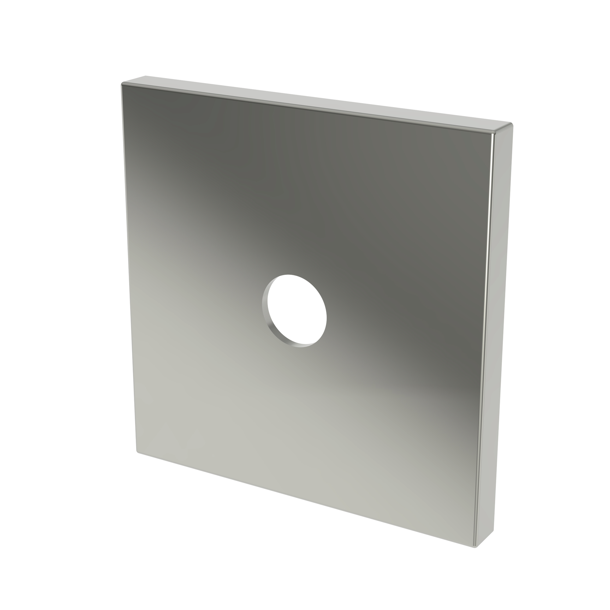 Newport Brass Other Diverter Plate