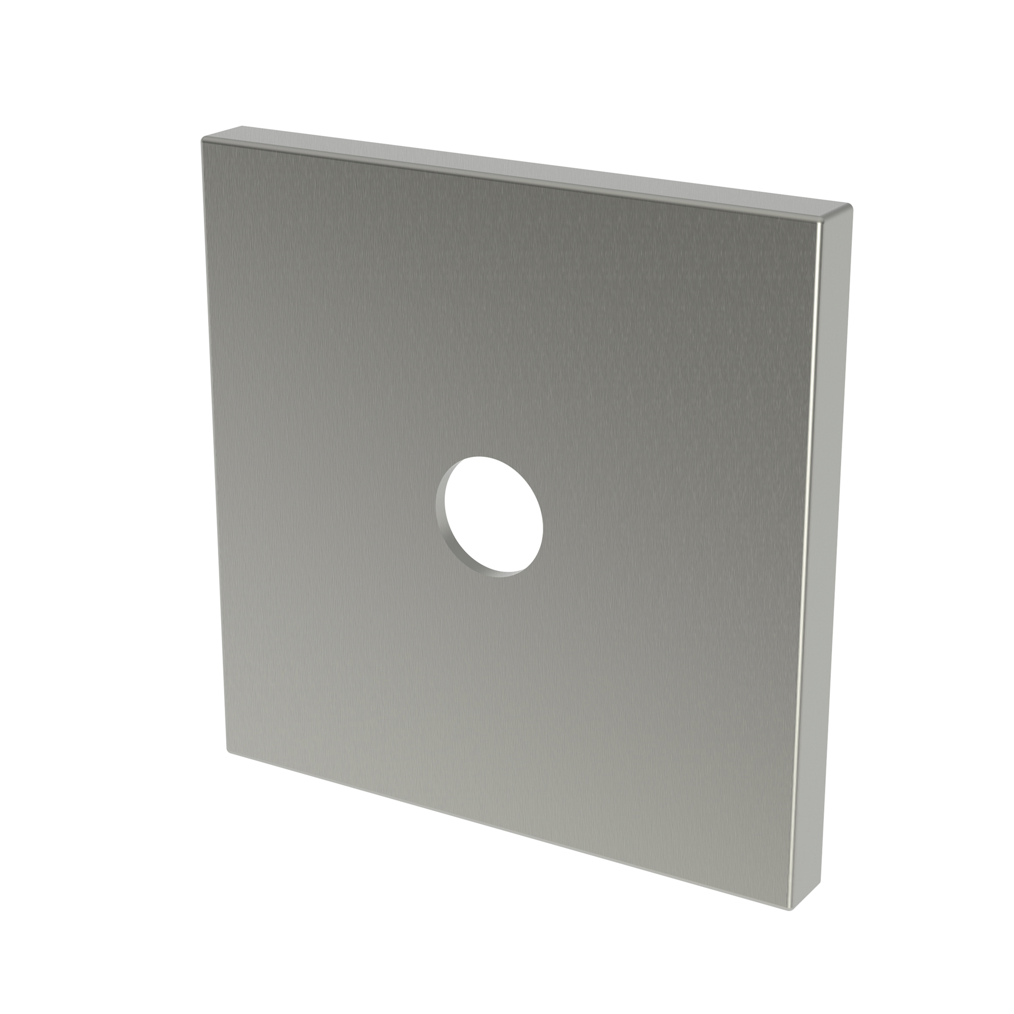 Newport Brass Other Diverter Plate