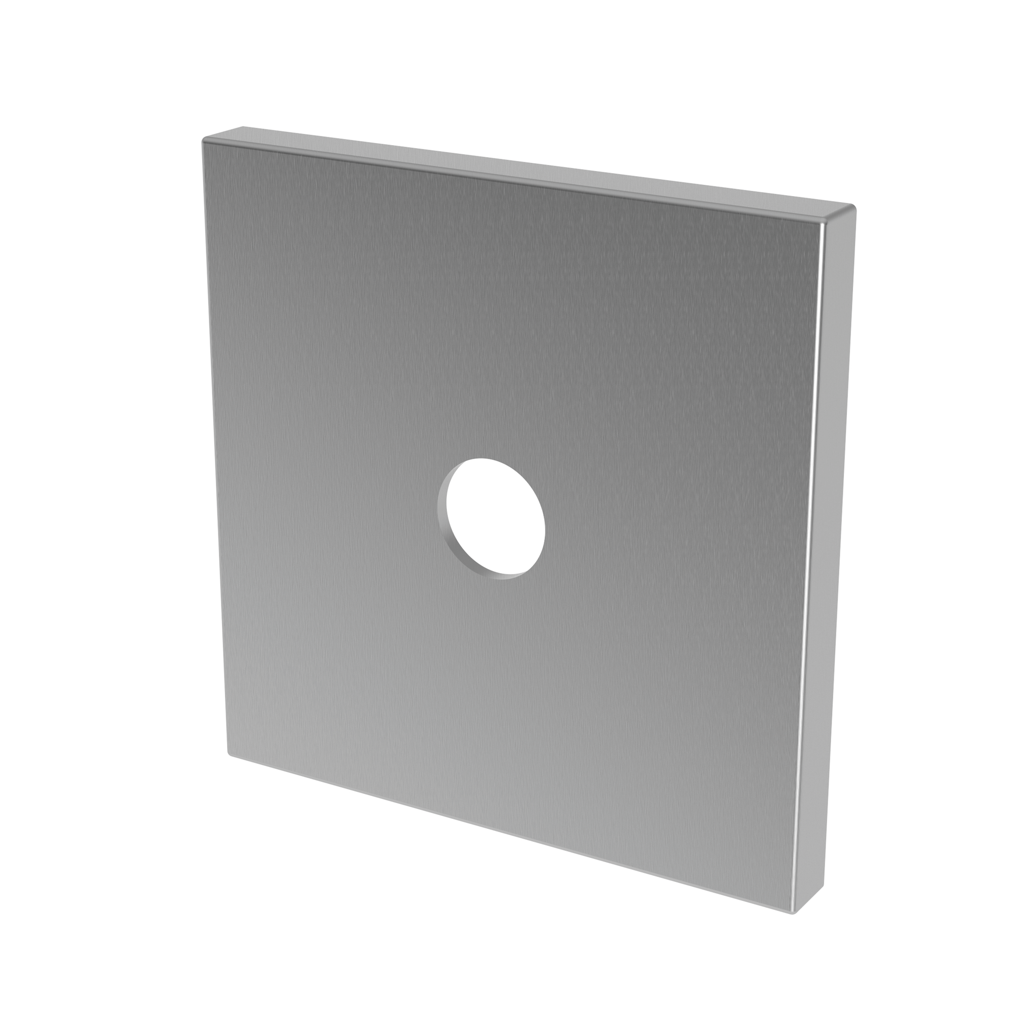 Newport Brass Other Diverter Plate