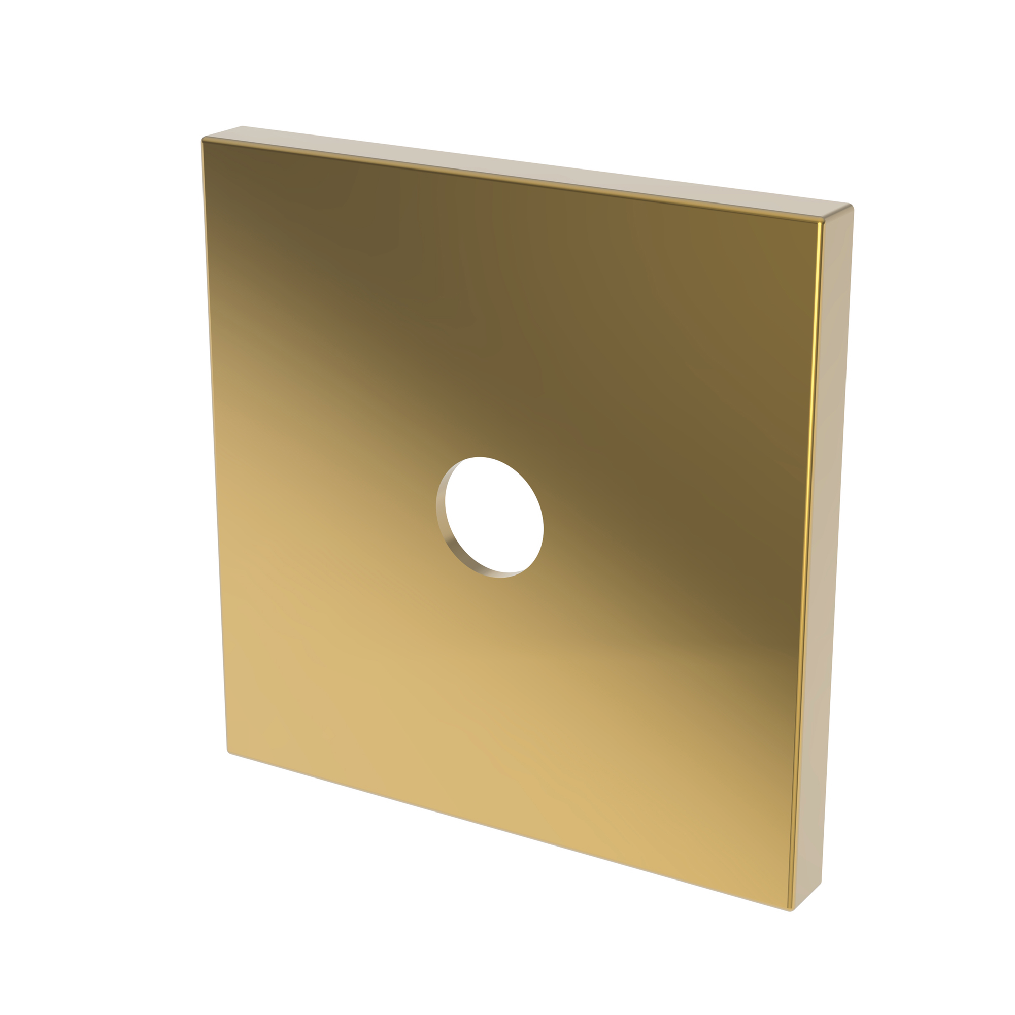 Newport Brass Other Diverter Plate