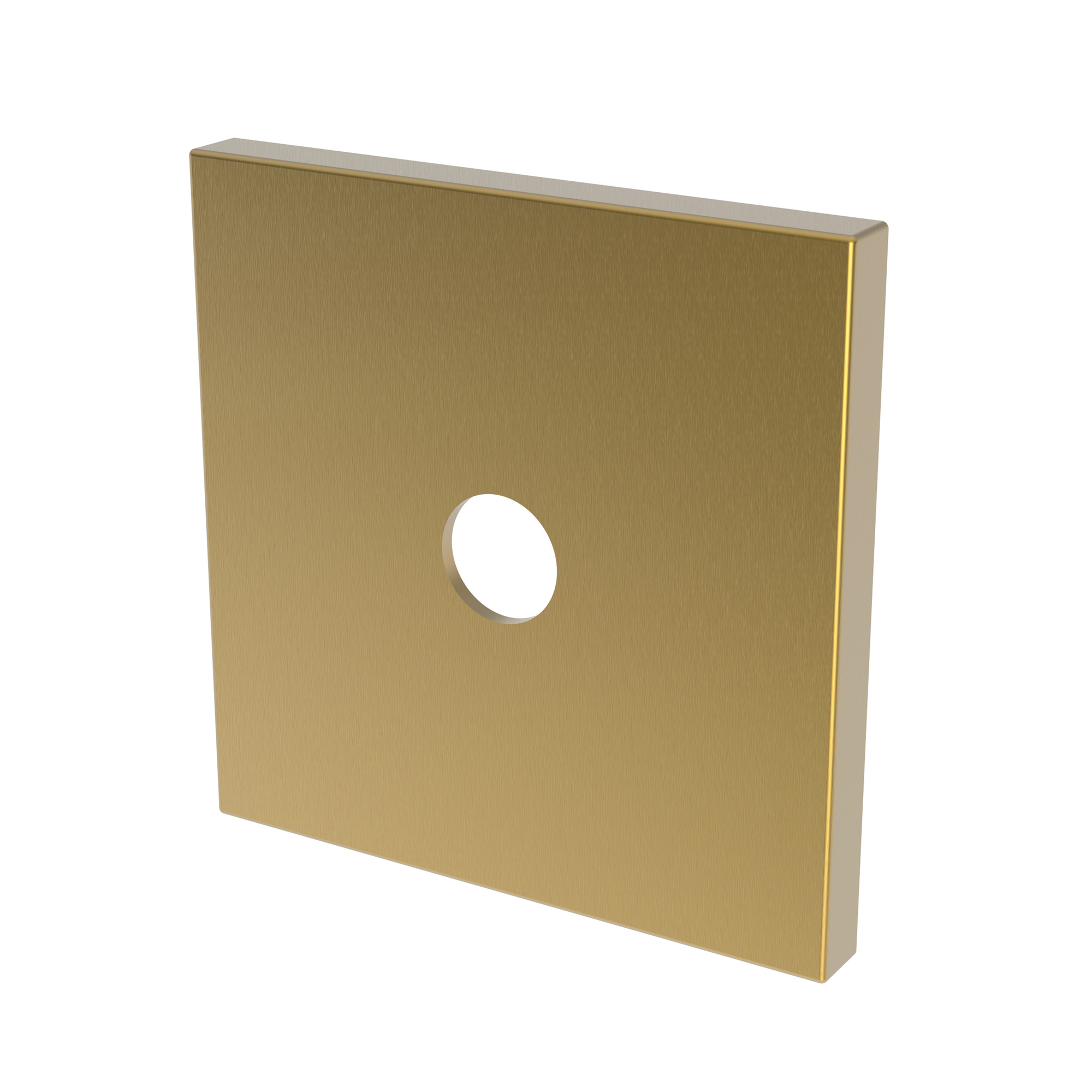 Newport Brass Other Diverter Plate