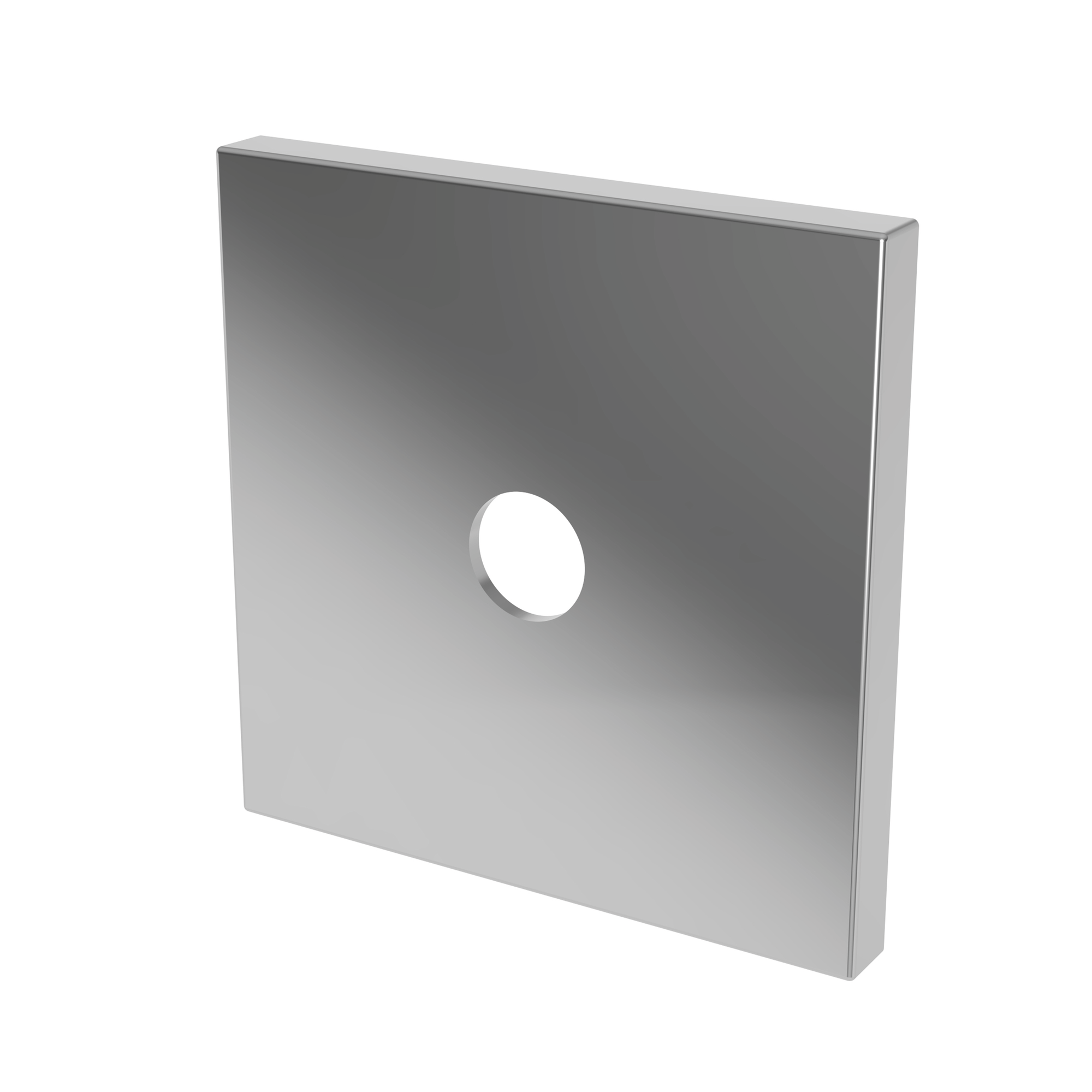 Newport Brass Other Diverter Plate