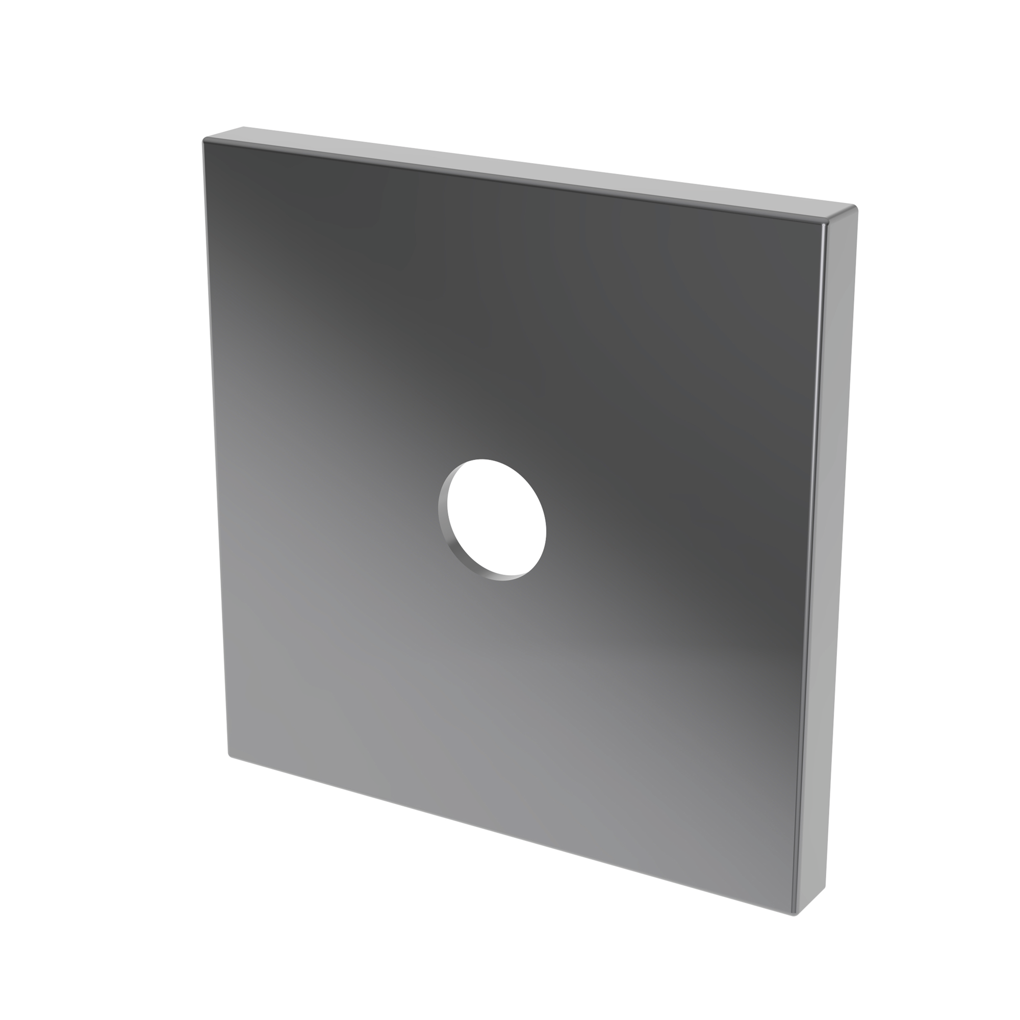 Newport Brass Other Diverter Plate