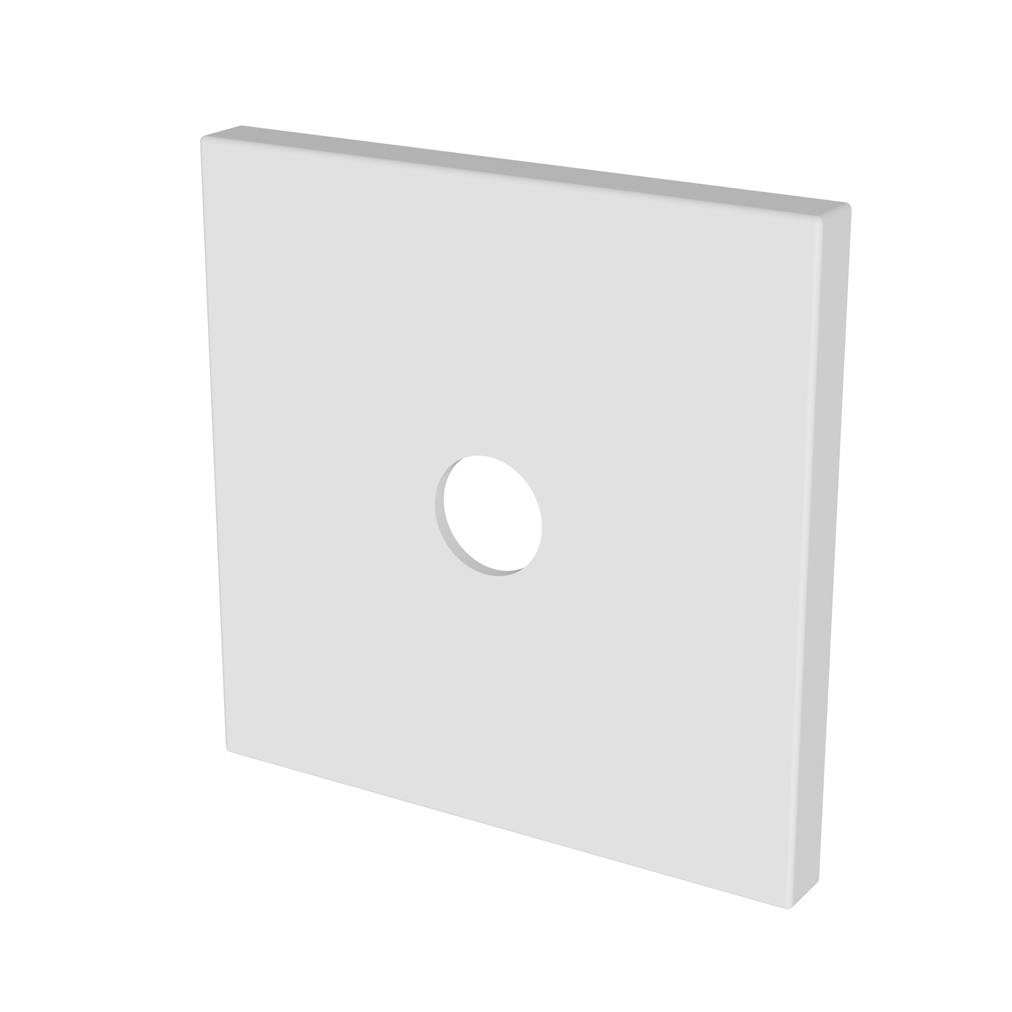 Newport Brass Other Diverter Plate