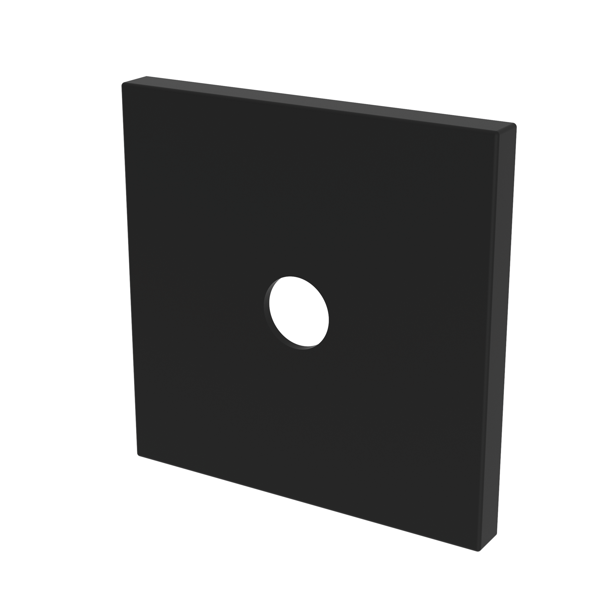 Newport Brass Other Diverter Plate