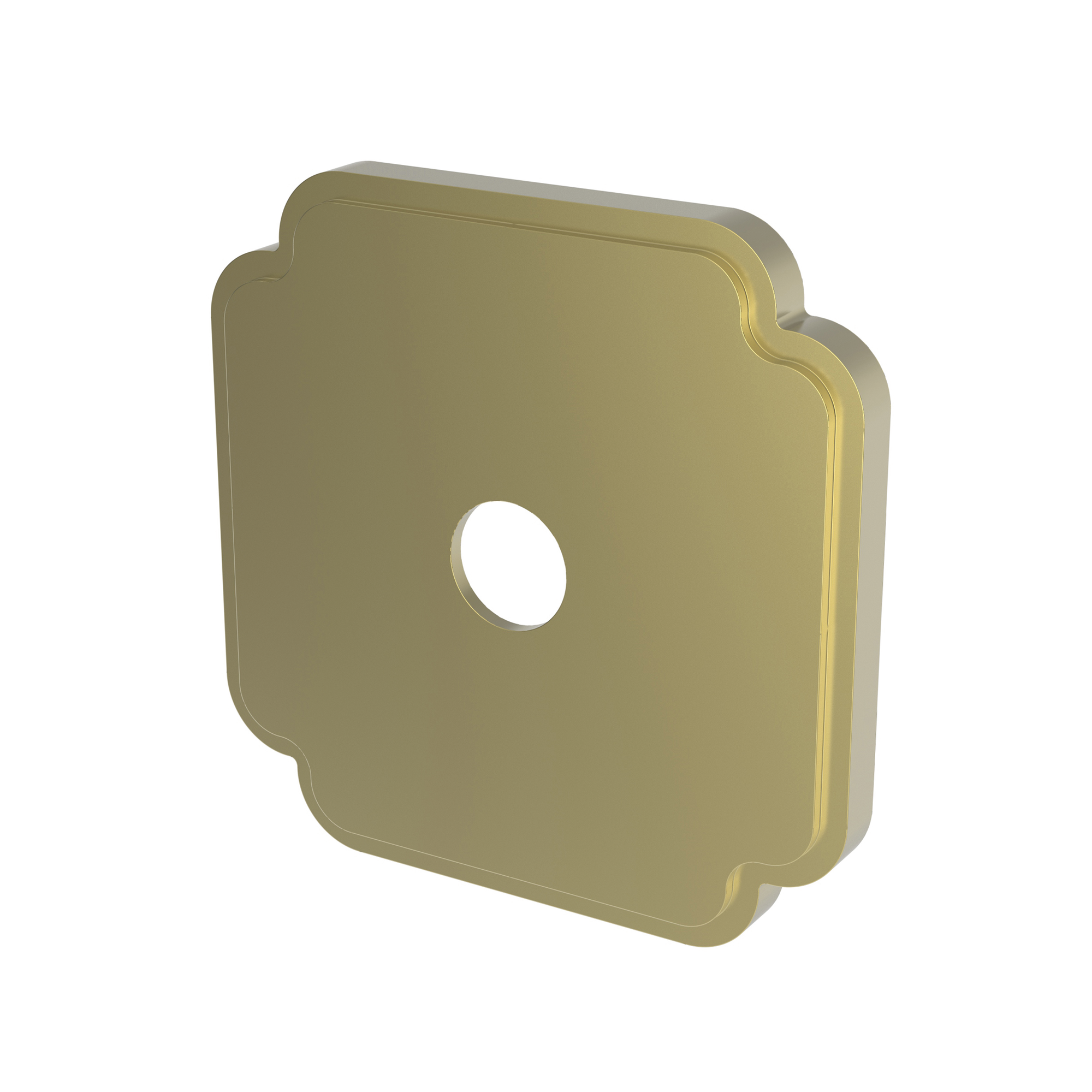 Newport Brass Other Diverter Plate