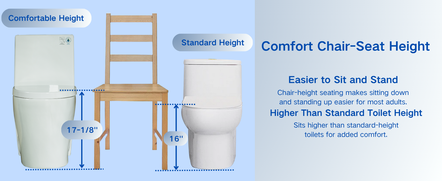 WOODBRIDGE WT001 ADA Round One-Piece Toilet – 1000g MaP Dual Flush