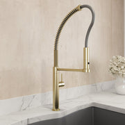 Baveno Pro Pull-Down Kitchen Faucet 2027 0001