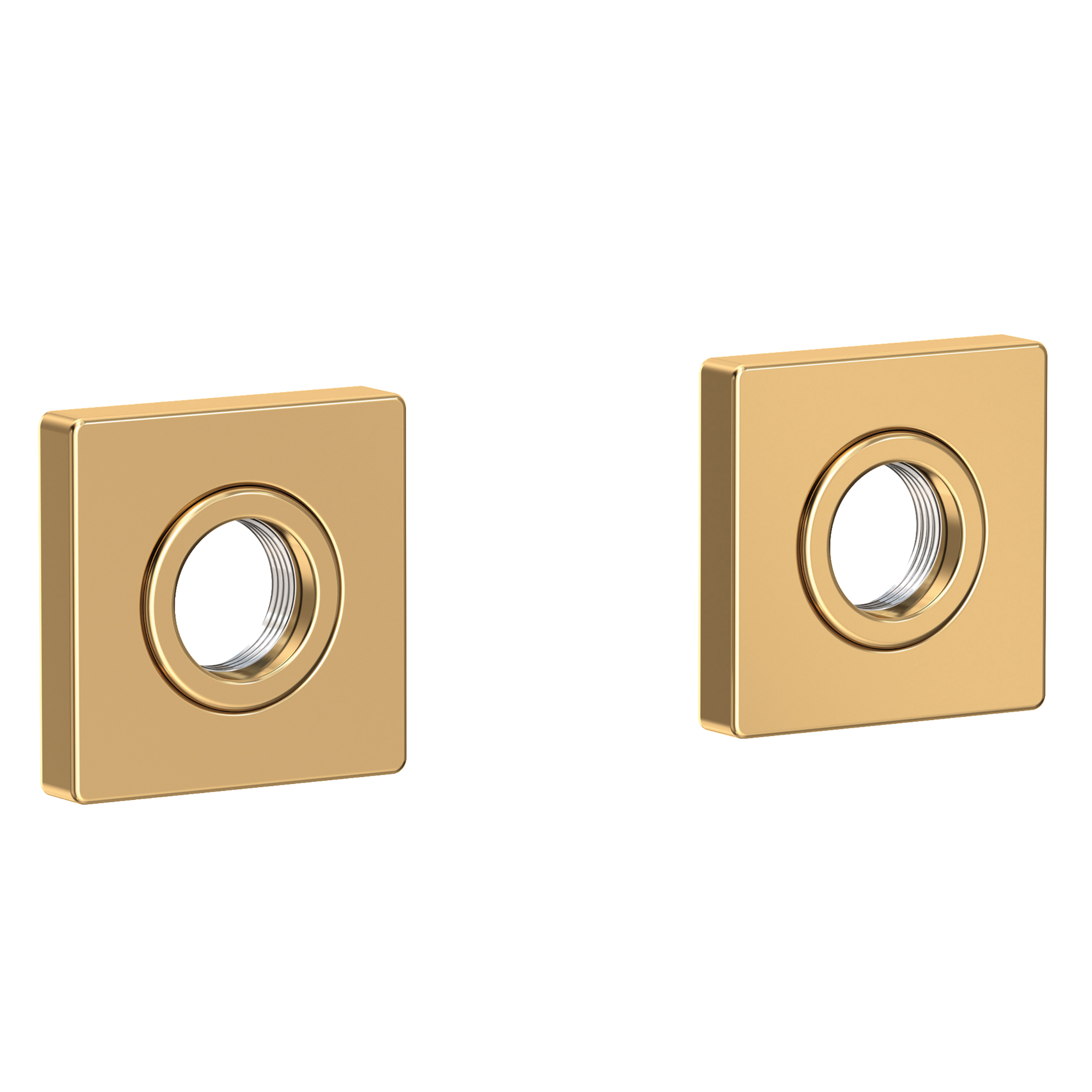 Newport Brass Secant® Grab Bar Decorative Rings & Mounting Kit