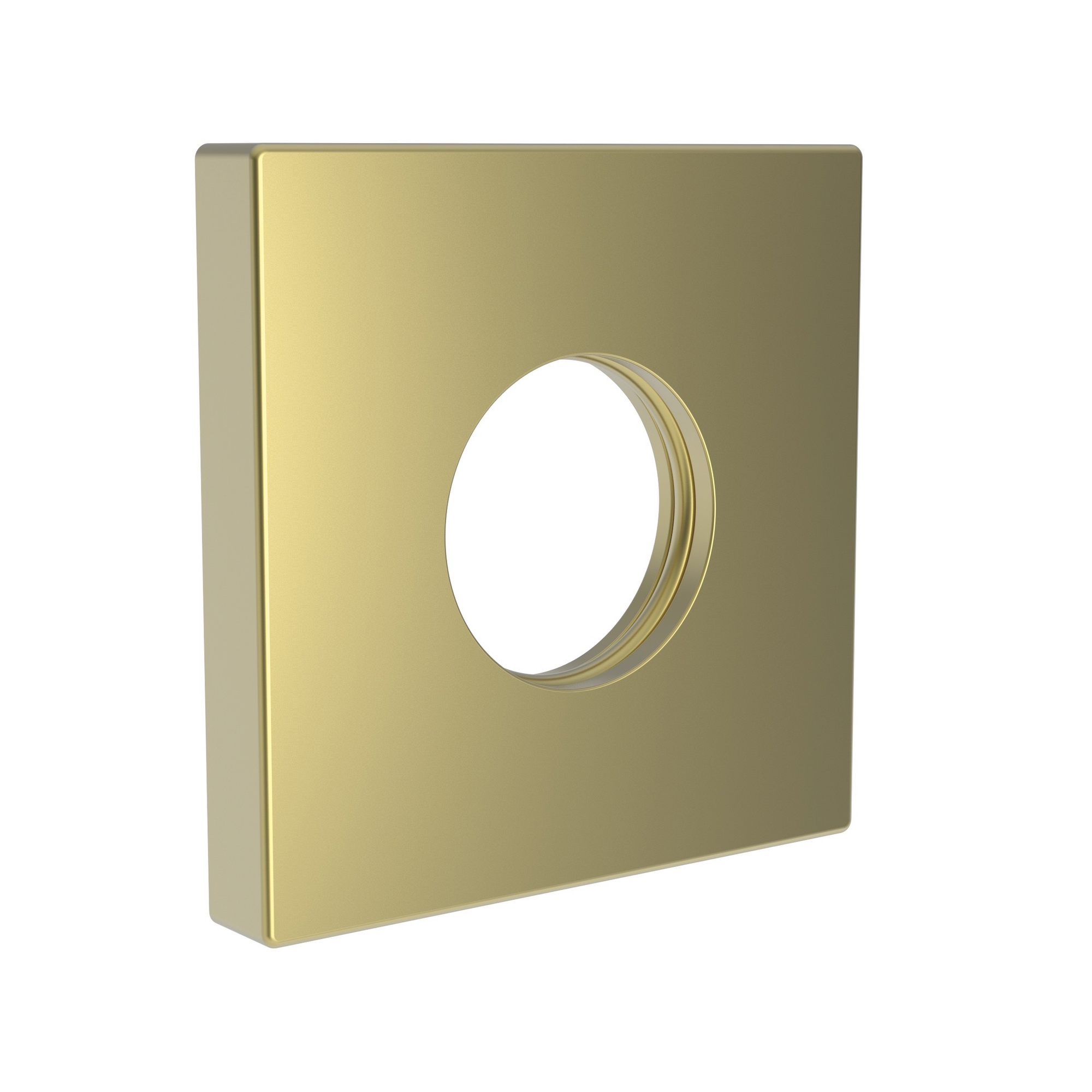Newport Brass Other Shower Arm Flange