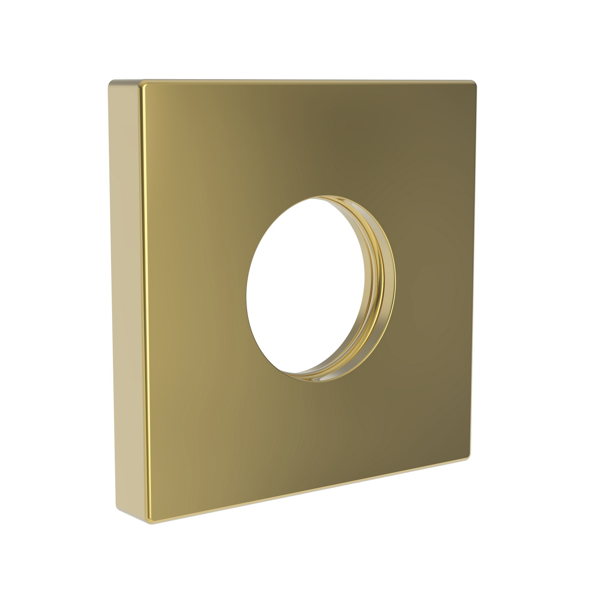 Newport Brass Other Shower Arm Flange