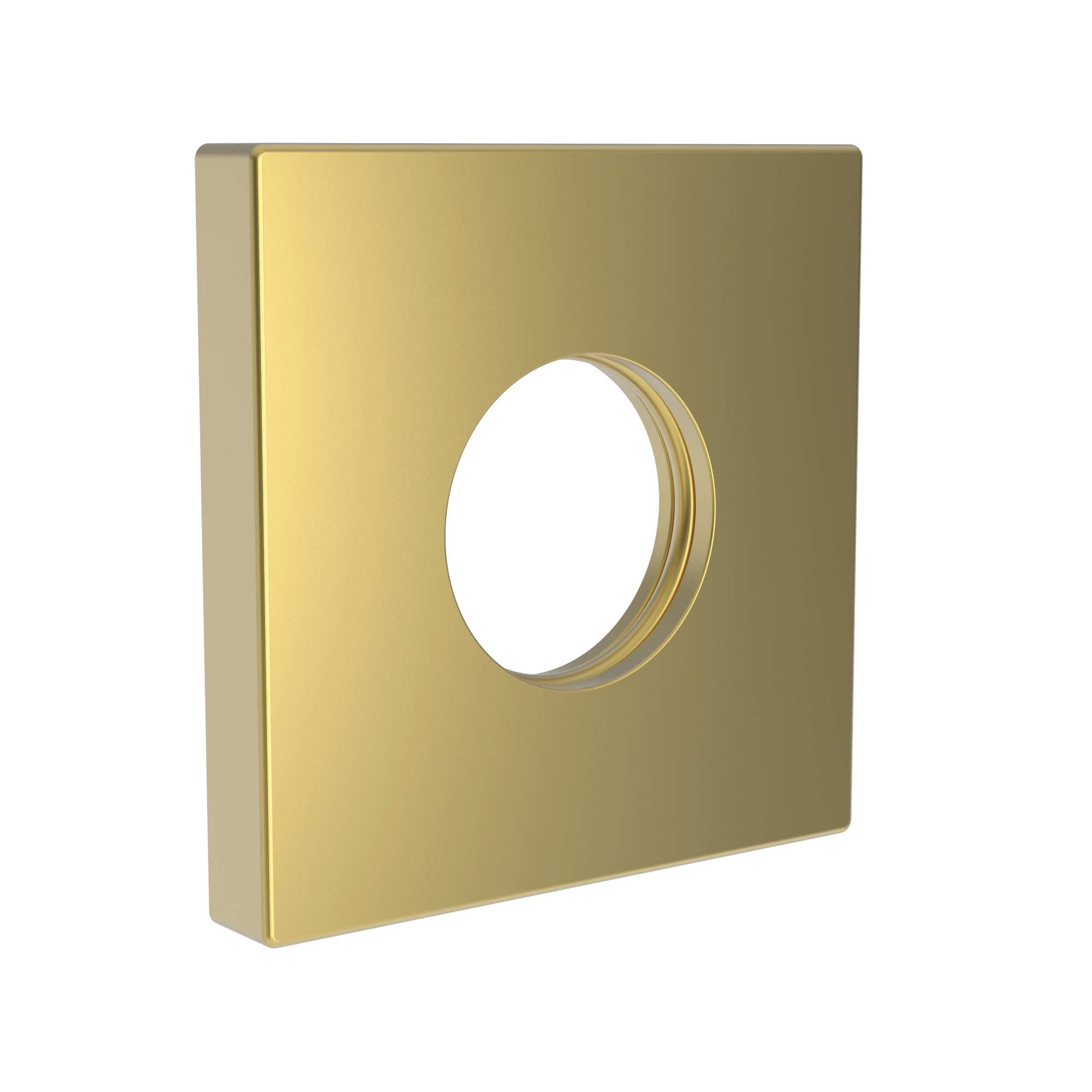 Newport Brass Other Shower Arm Flange
