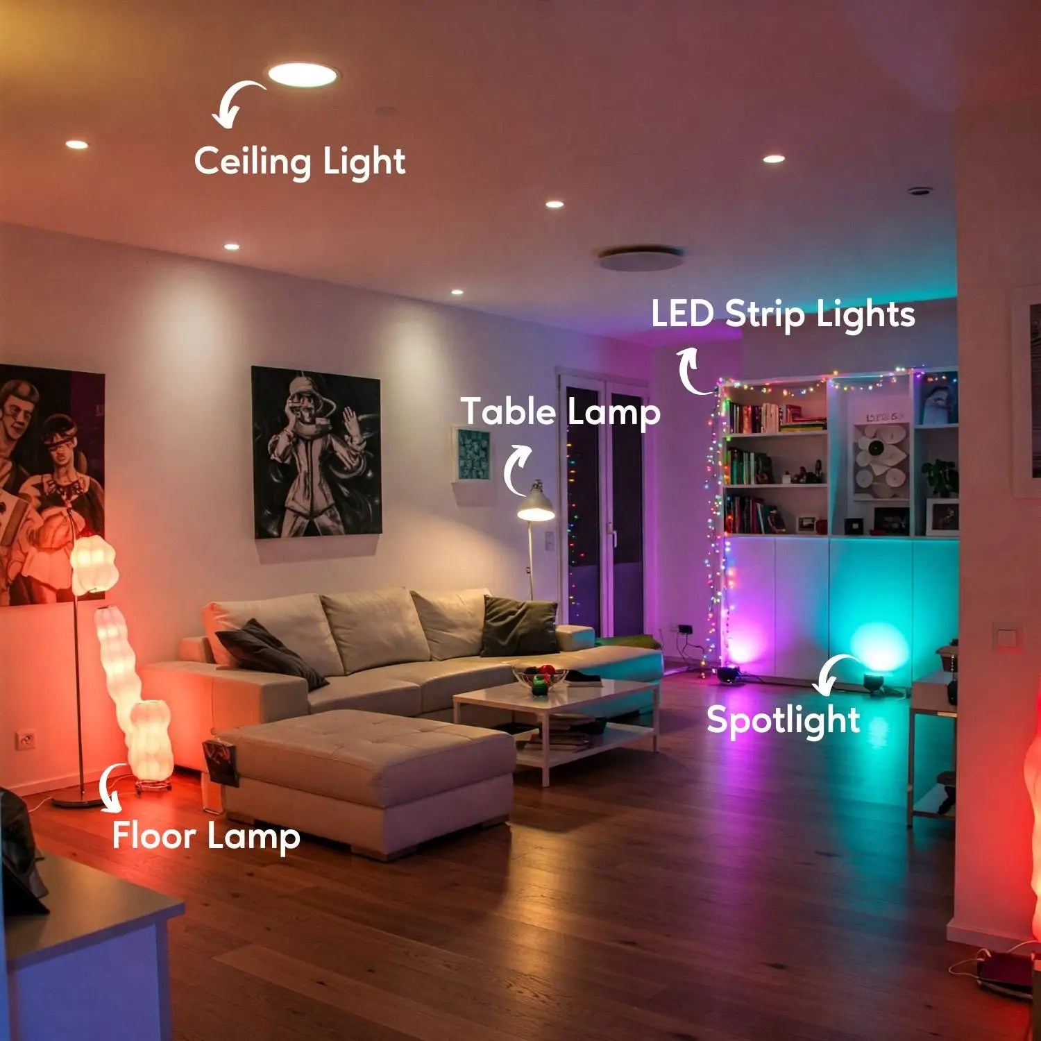 20W LED Drivers 14-32V DC 20W Max 0.17A Dimmable