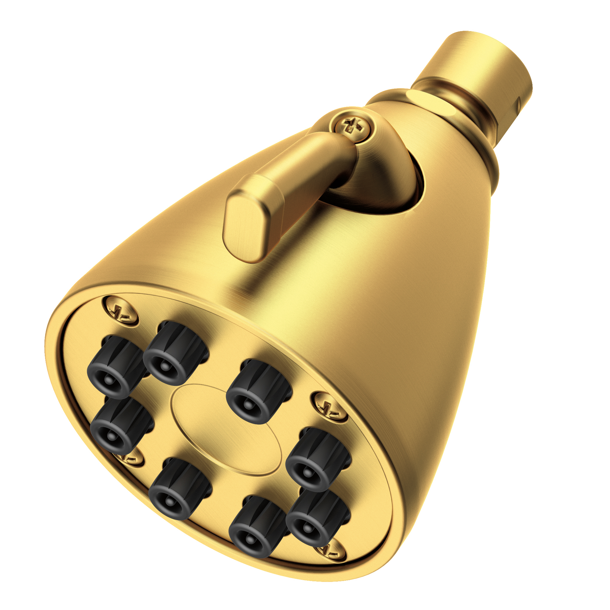 Newport Brass Other Single Function Shower Head