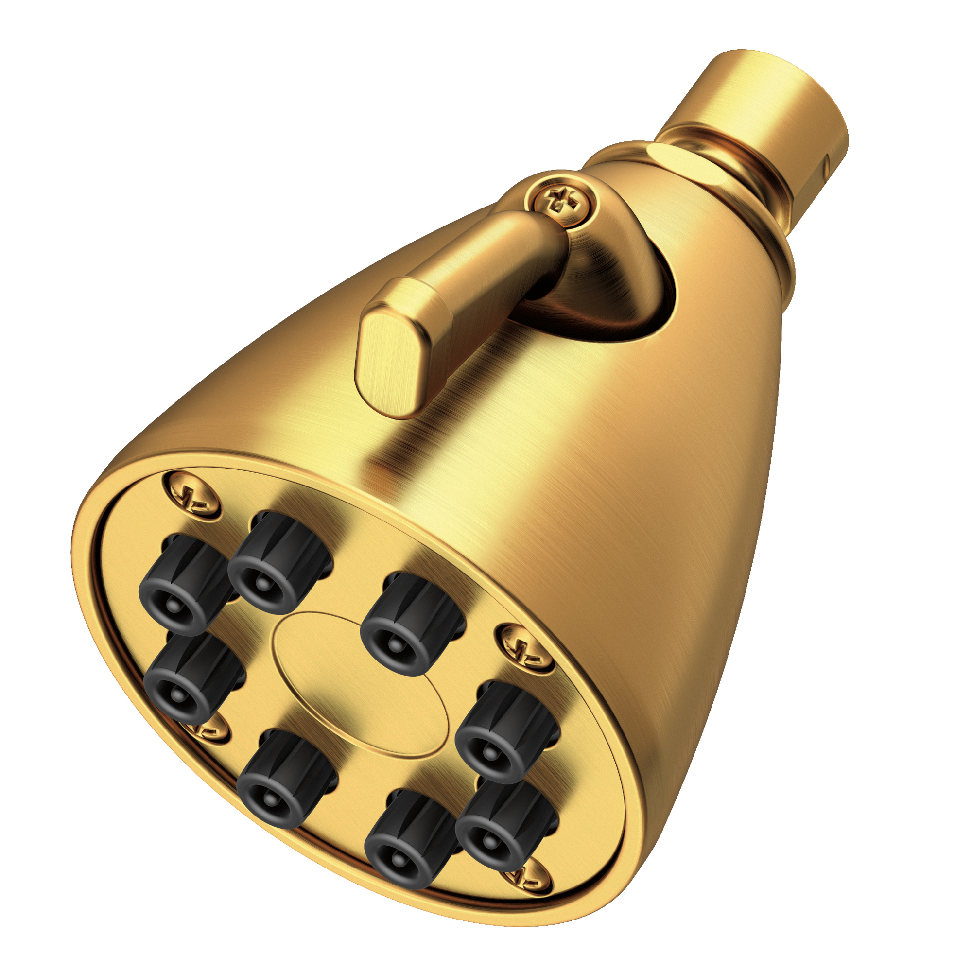 Newport Brass Other Single Function Shower Head