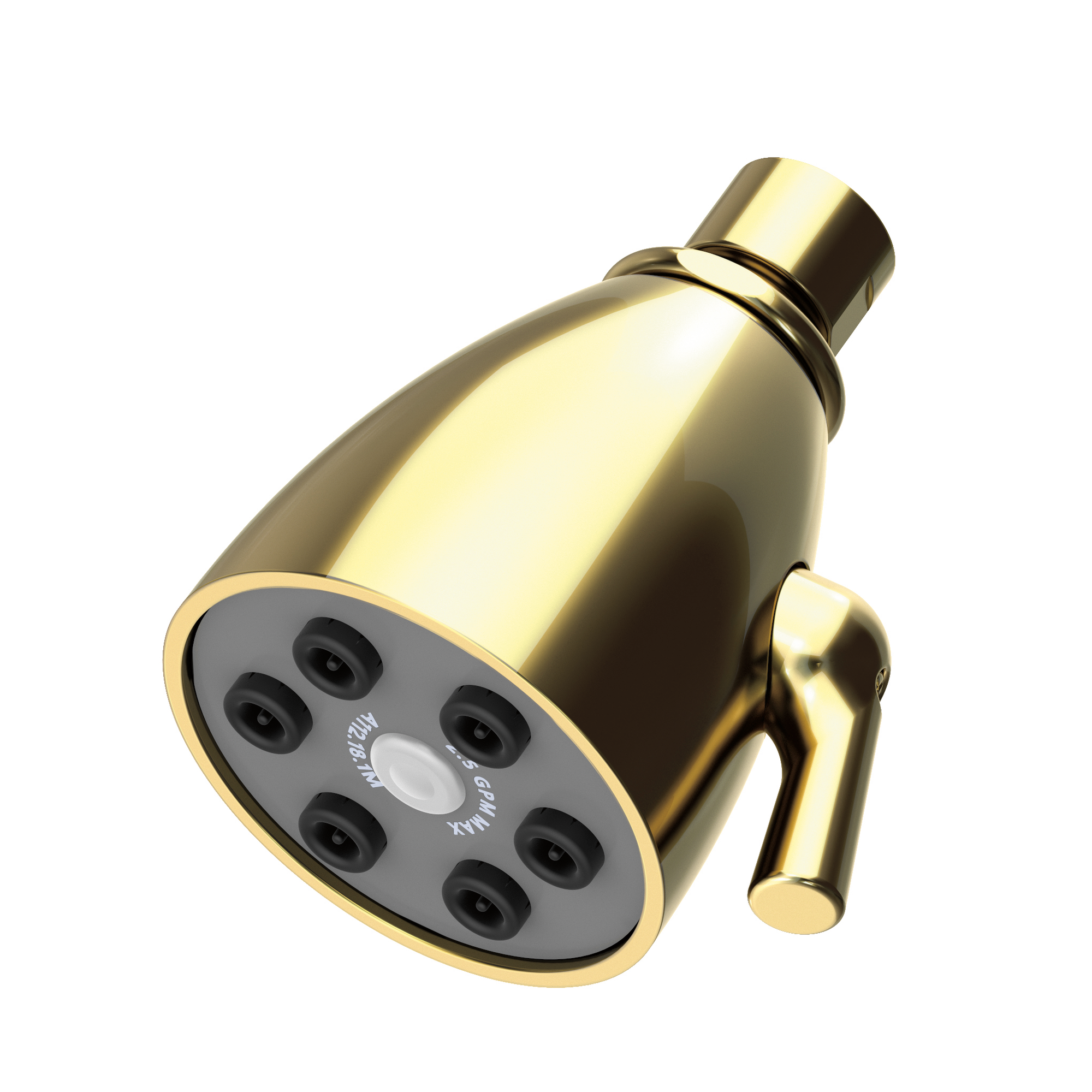 Newport Brass Other Single Function Shower Head
