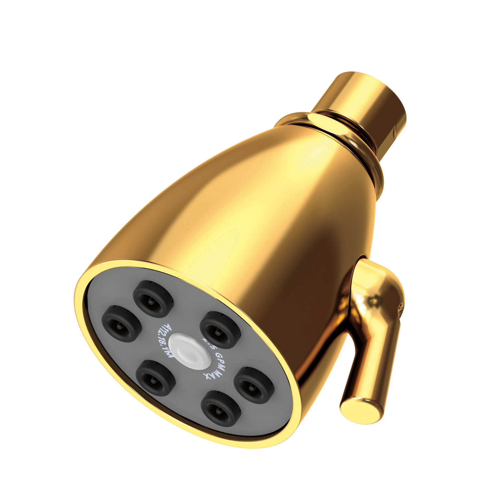 Newport Brass Other Single Function Shower Head