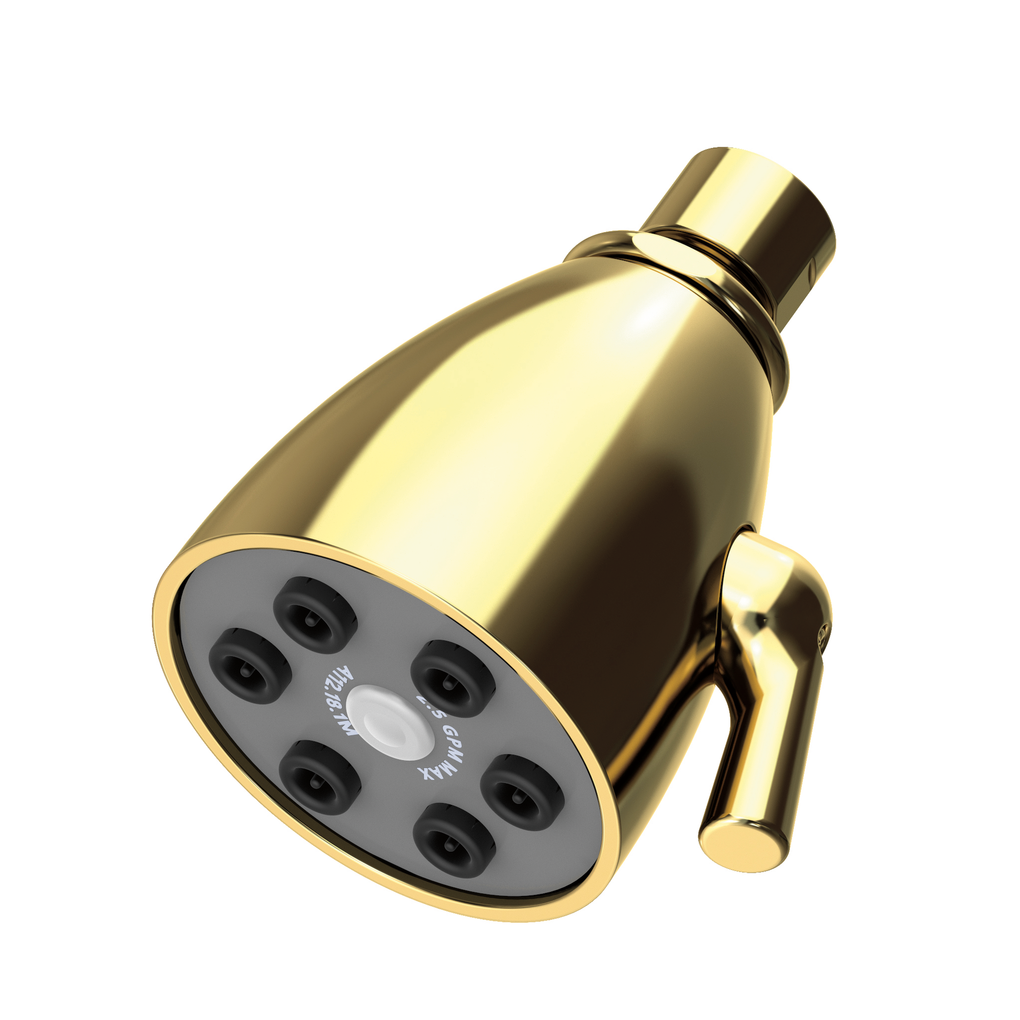 Newport Brass Other Single Function Shower Head
