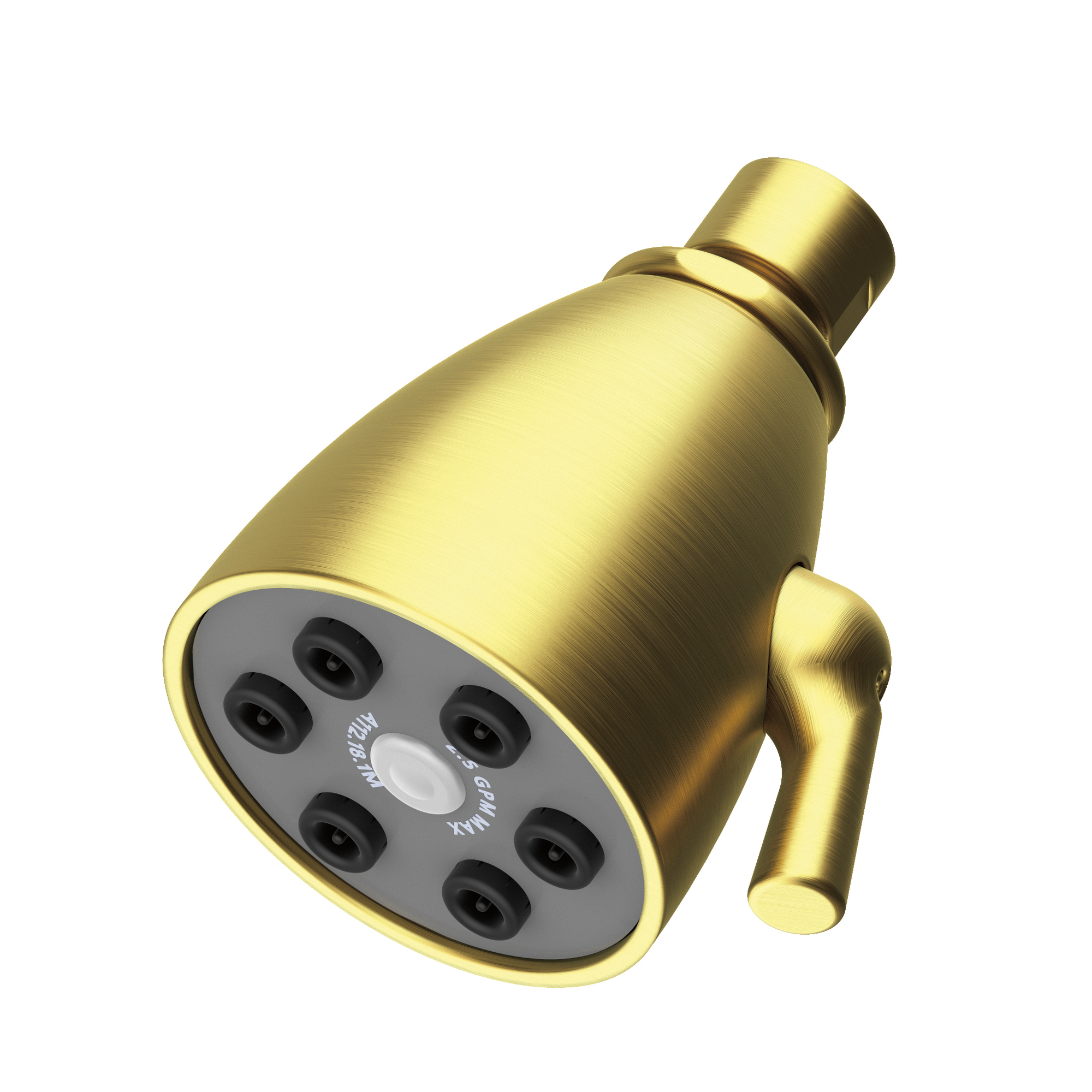 Newport Brass Other Single Function Shower Head