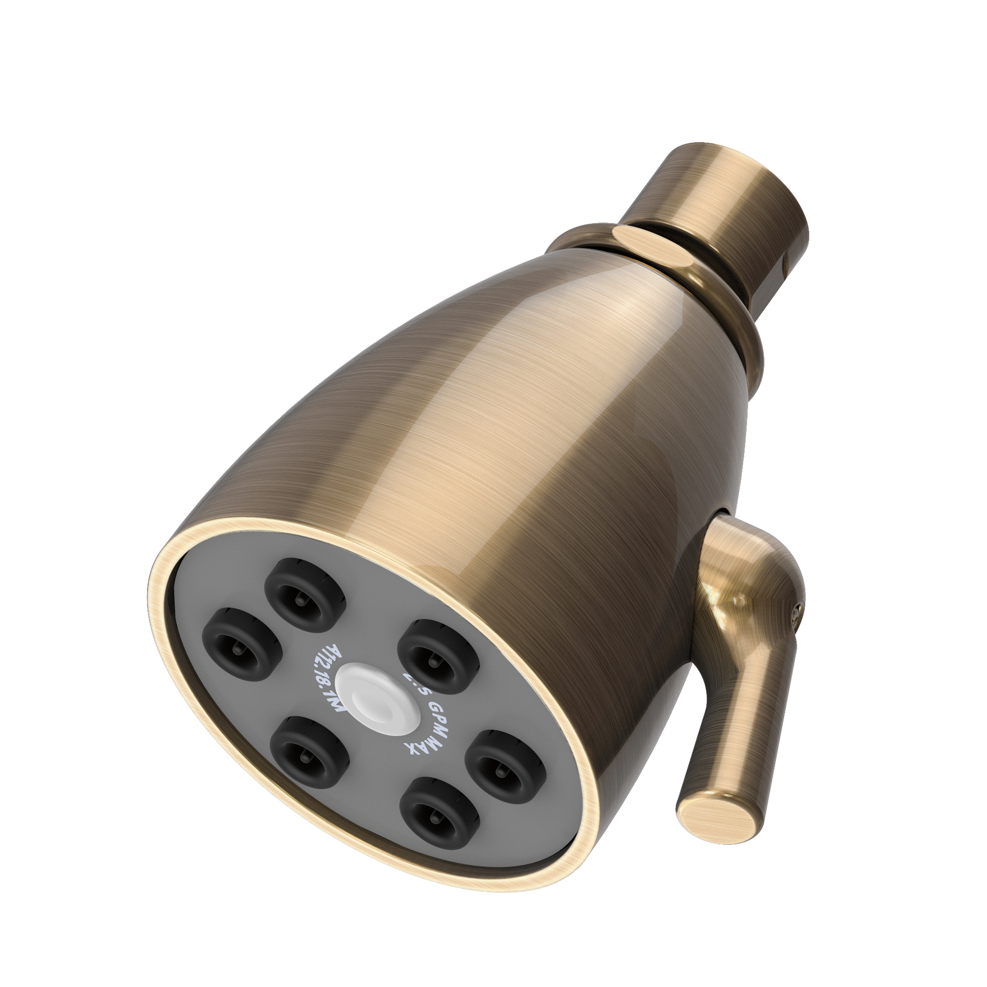 Newport Brass Other Single Function Shower Head