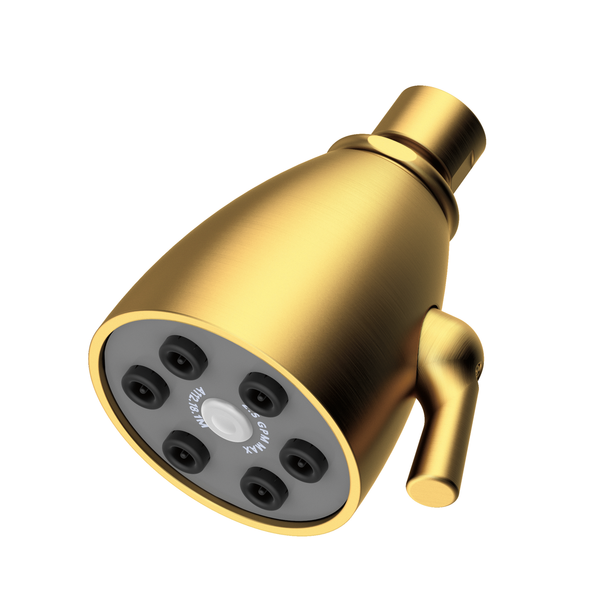 Newport Brass Other Single Function Shower Head