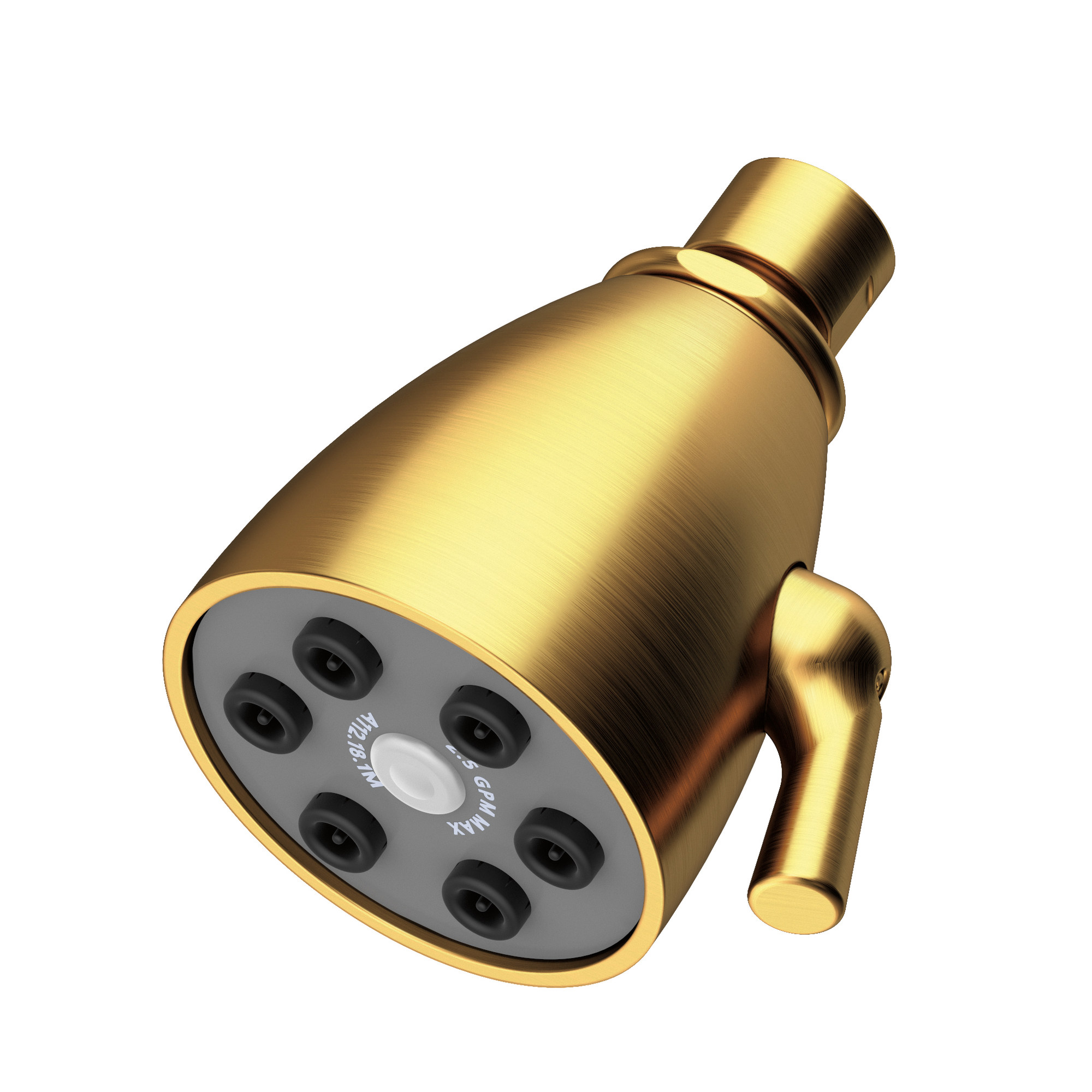 Newport Brass Other Single Function Shower Head