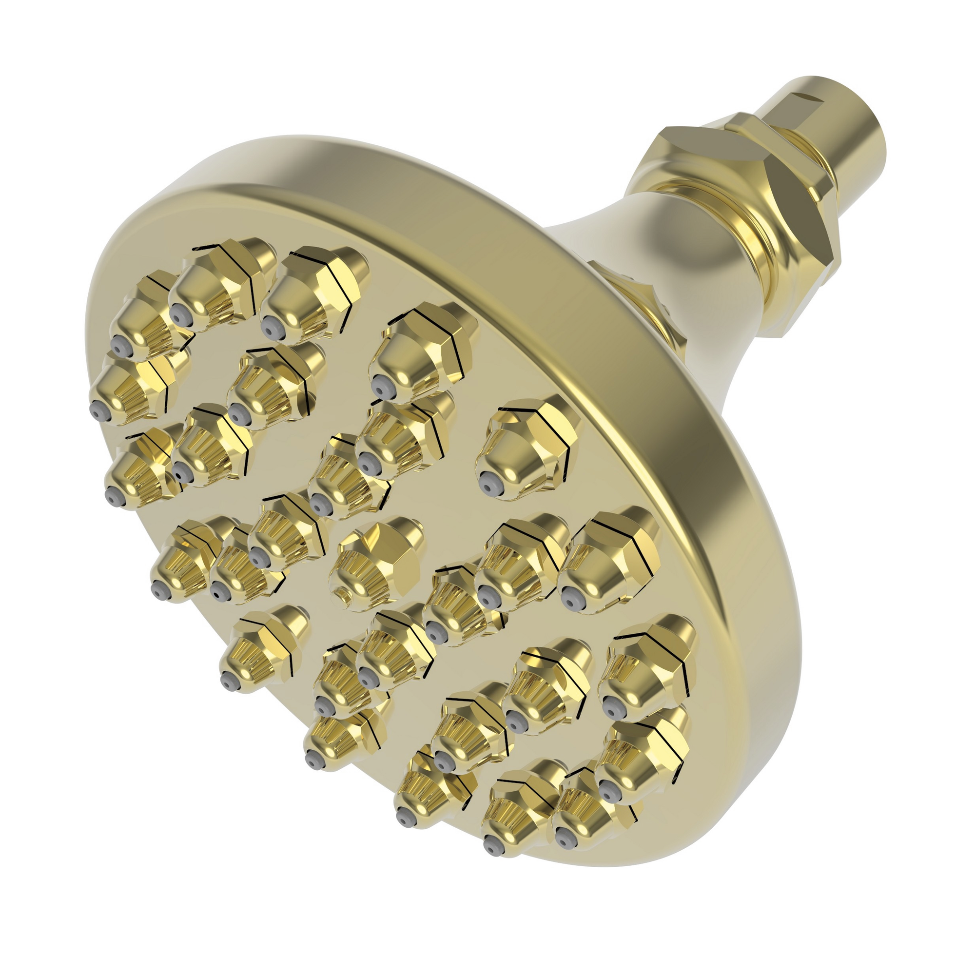 Newport Brass Other Single Function Shower Head