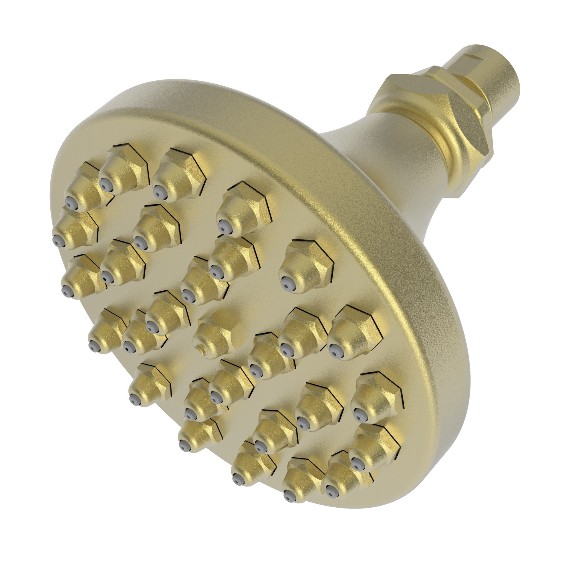 Newport Brass Other Single Function Shower Head