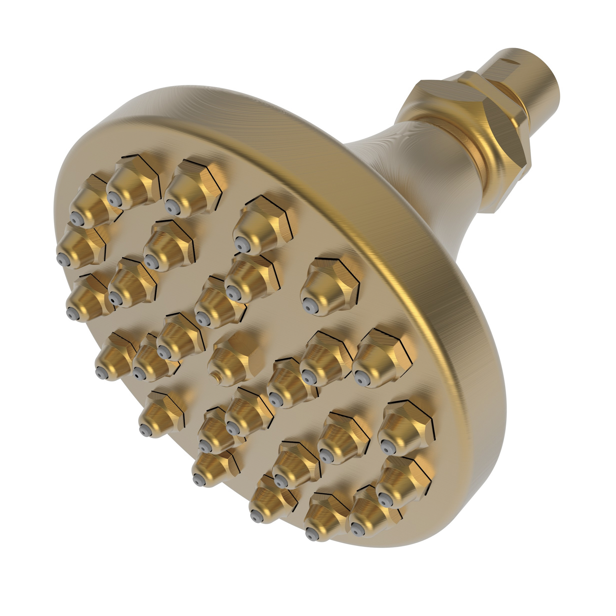 Newport Brass Other Single Function Shower Head