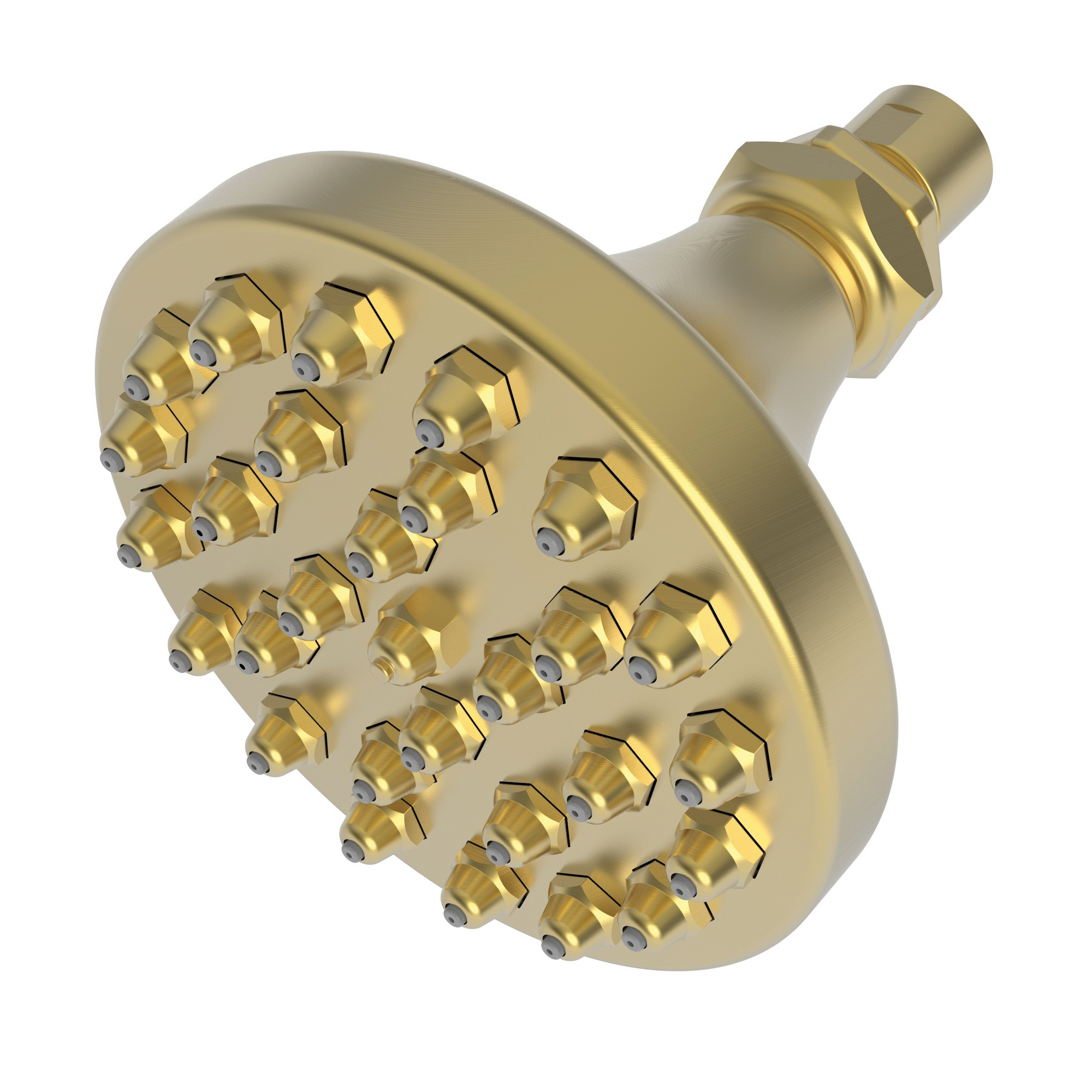 Newport Brass Other Single Function Shower Head
